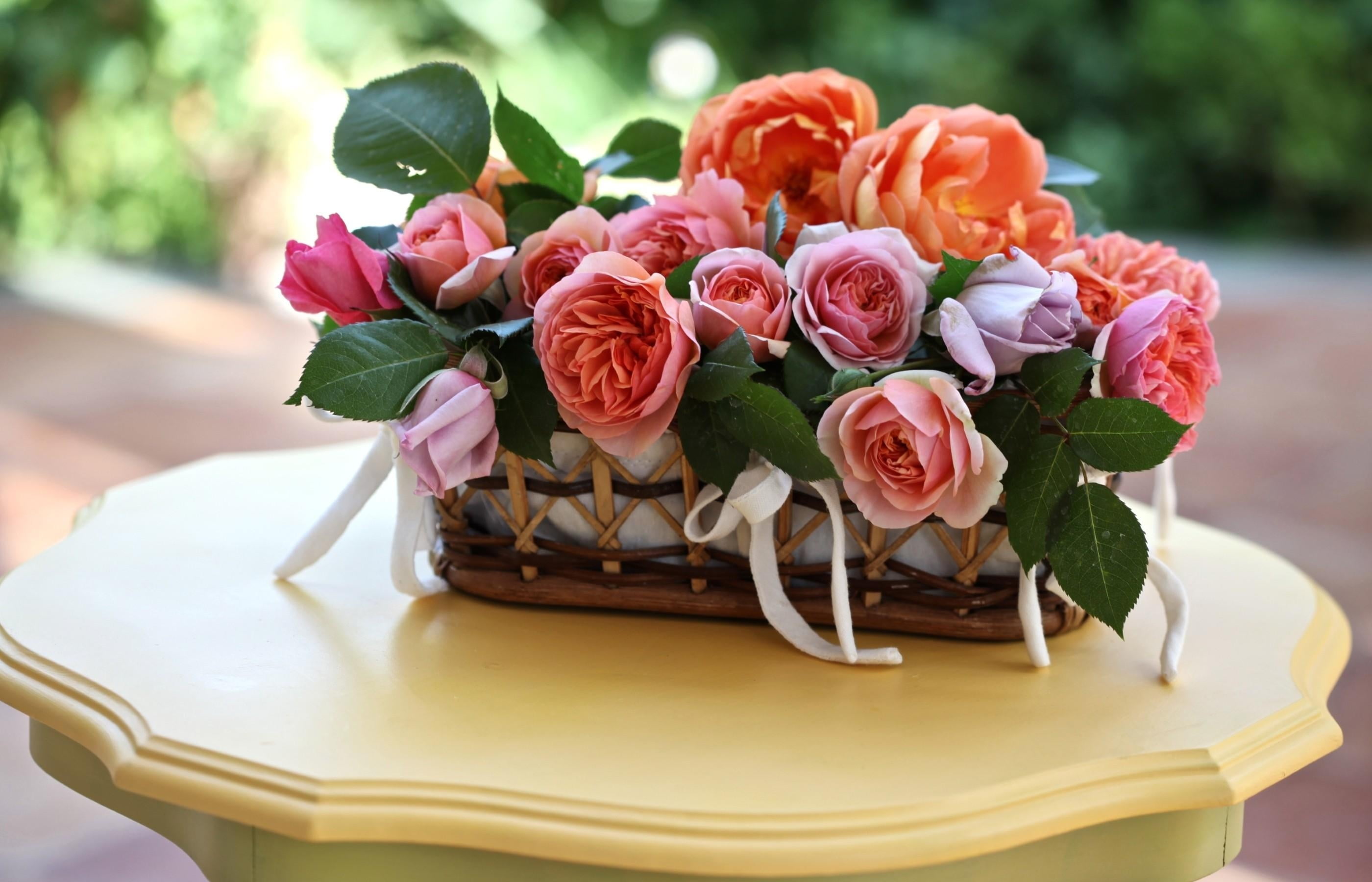 leaves, flowers, 2K, no People, icing, white, wedding, inflorescence, birthday, dessert, bouquet, fragility, plate, close-up, backgrounds, romance, roses, HD Wallpaper