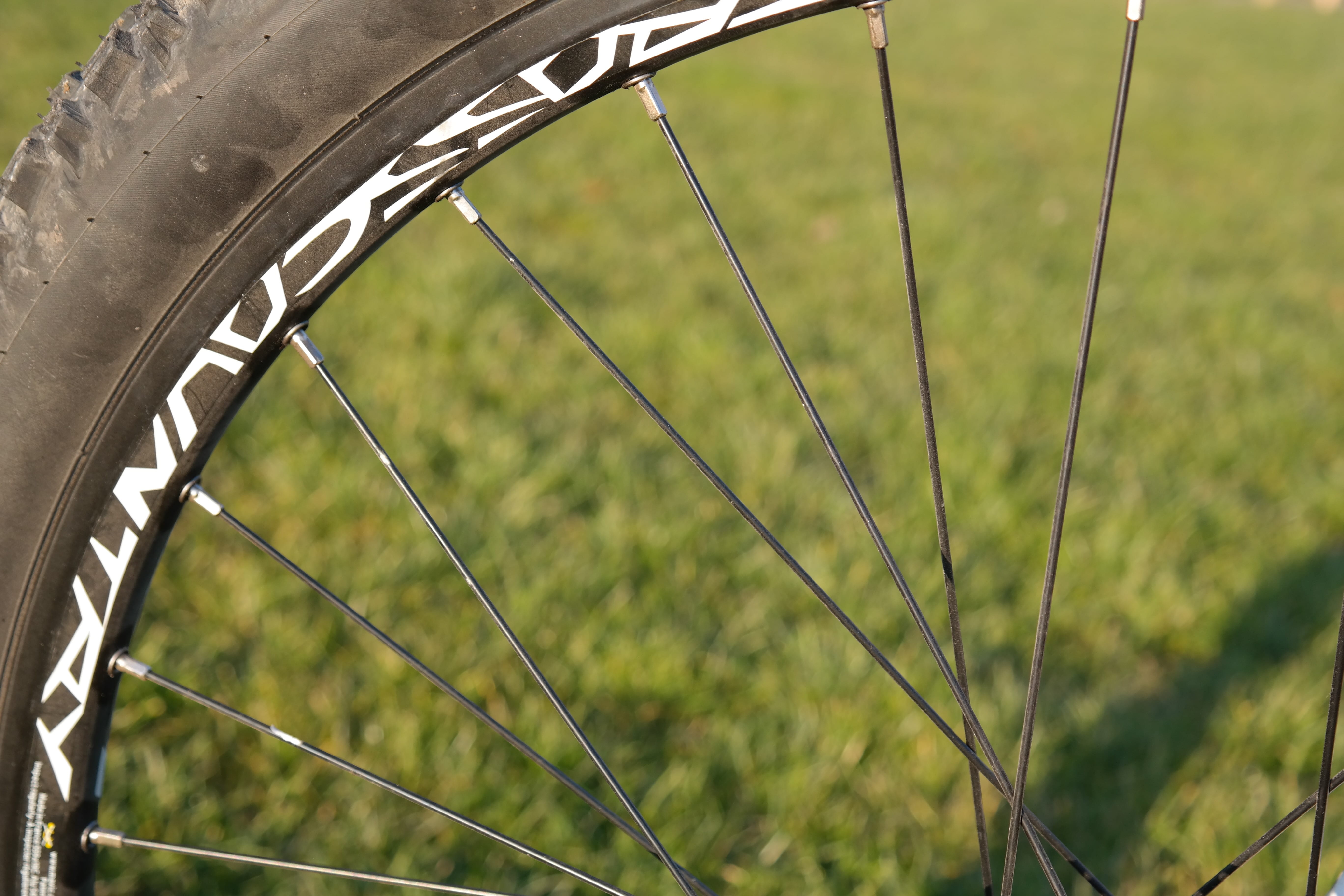 outdoors, racing ralph, profile, grass, bicycle tires, mountain bike, close, focus on foreground, land vehicle, green color, tunnel, land, spokes, mode of transportation, HD Wallpaper