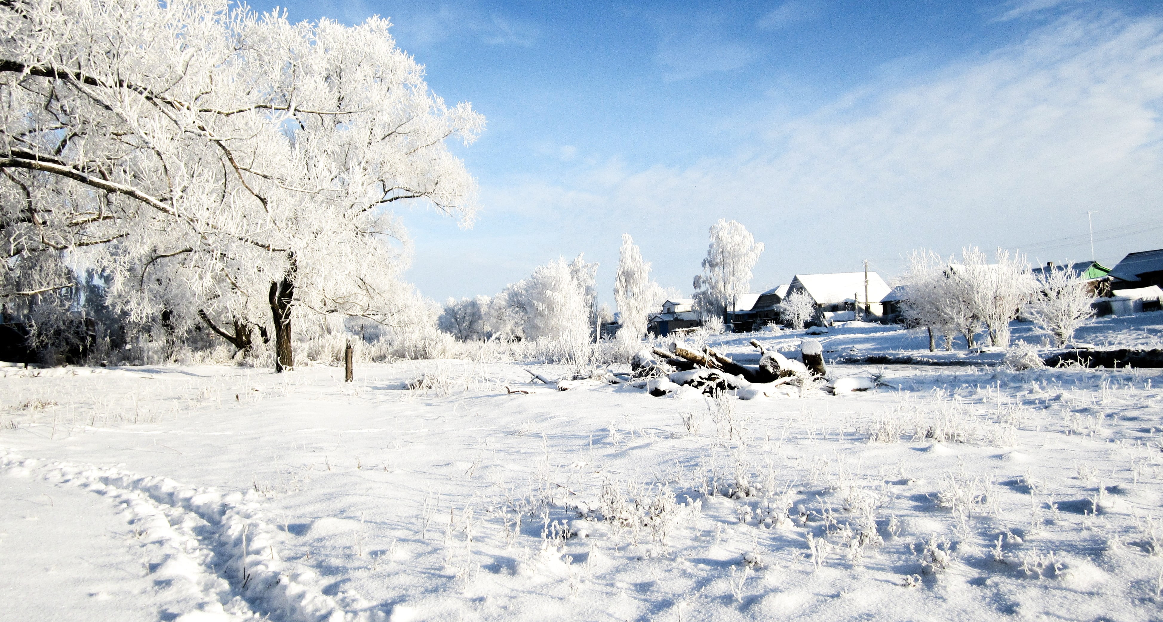 nature, environment, winter, tranquility, cloud - sky, frozen, ice, white, plant, tranquil scene, clouds, sky, 4K, snowing, day, white color, landscape, HD Wallpaper