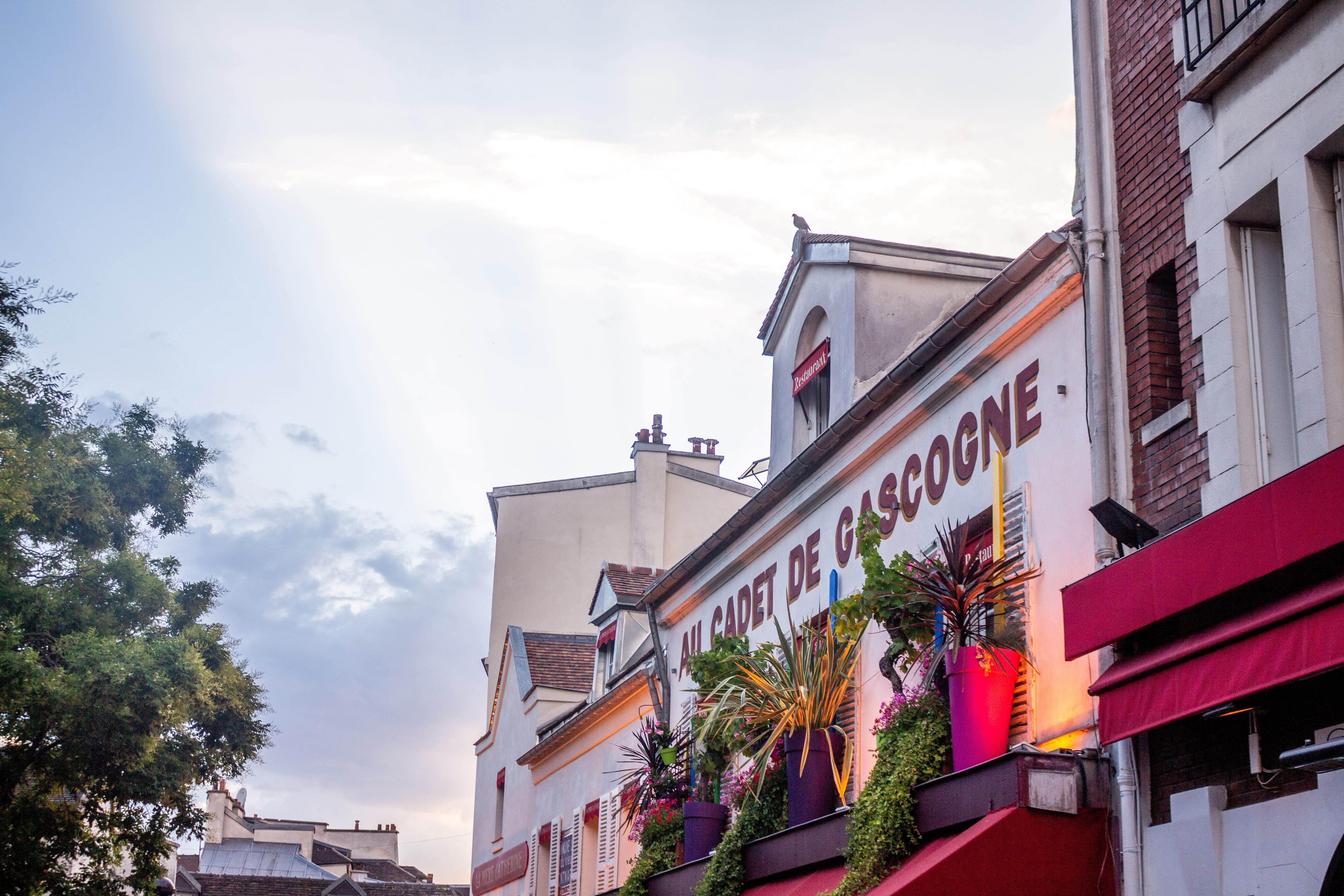 text, multi colored, building, flag, outdoors, day, city, low angle view, building exterior, restaurant, paris, plant, montmartre, tree, 5K, nature, residential district, HD Wallpaper