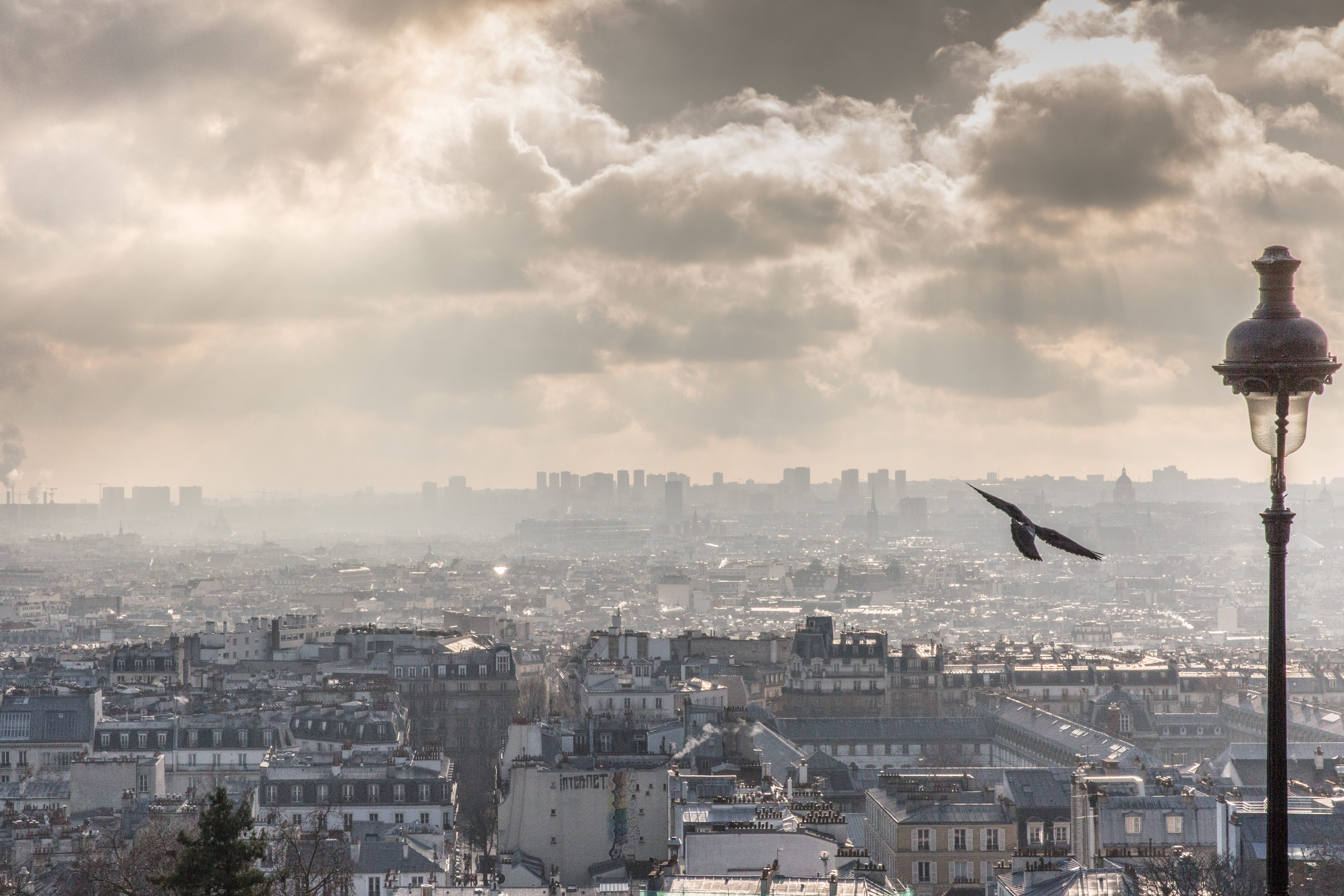 sky, building, animal, travel destinations, 5K, no people, montmartre, animal wildlife, parigi, sacre coeur, paris, building exterior, bird, cloud - sky, HD Wallpaper