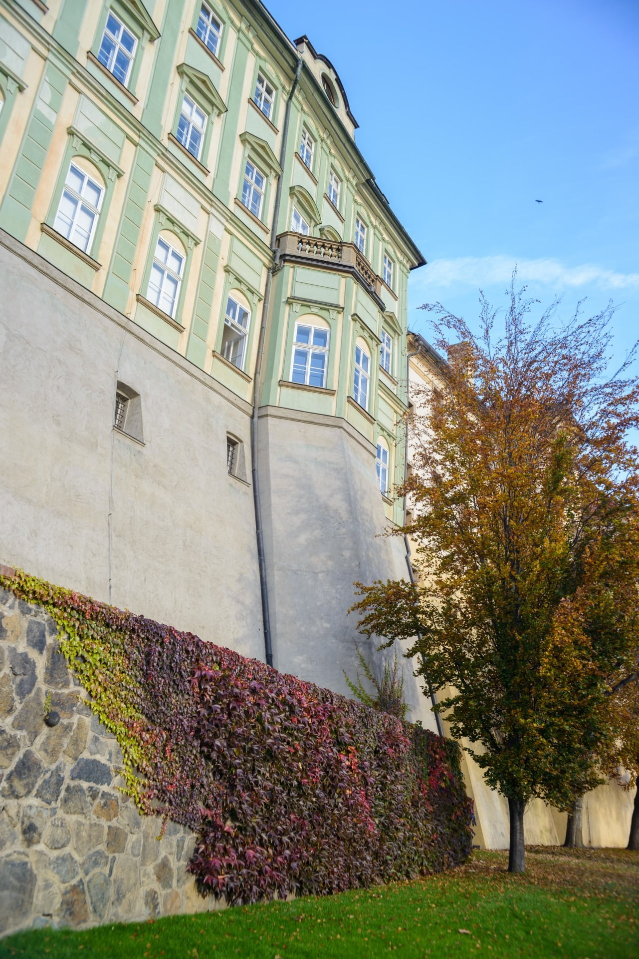 window, no people, architecture, st vitus cathedral, 1080P, footpath, growth, low angle view, nature, prague, tree, plant, building, prague castle, residential district, Phone HD Wallpaper