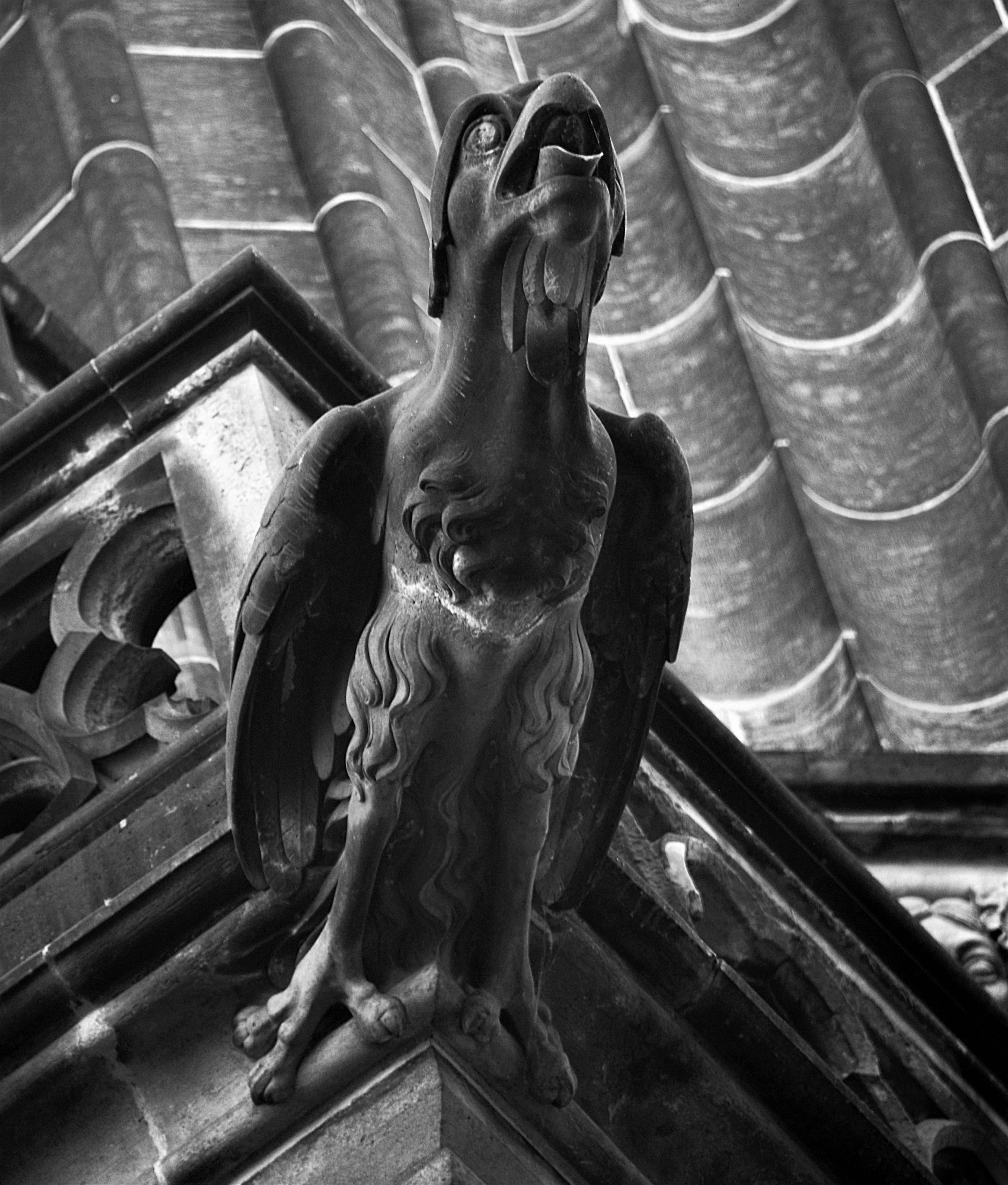 day, landmark, gargoyle, art and craft, bird, representation, grayscale, low angle view, architecture, gothic, focus on foreground, 4K, design, built structure, Phone HD Wallpaper
