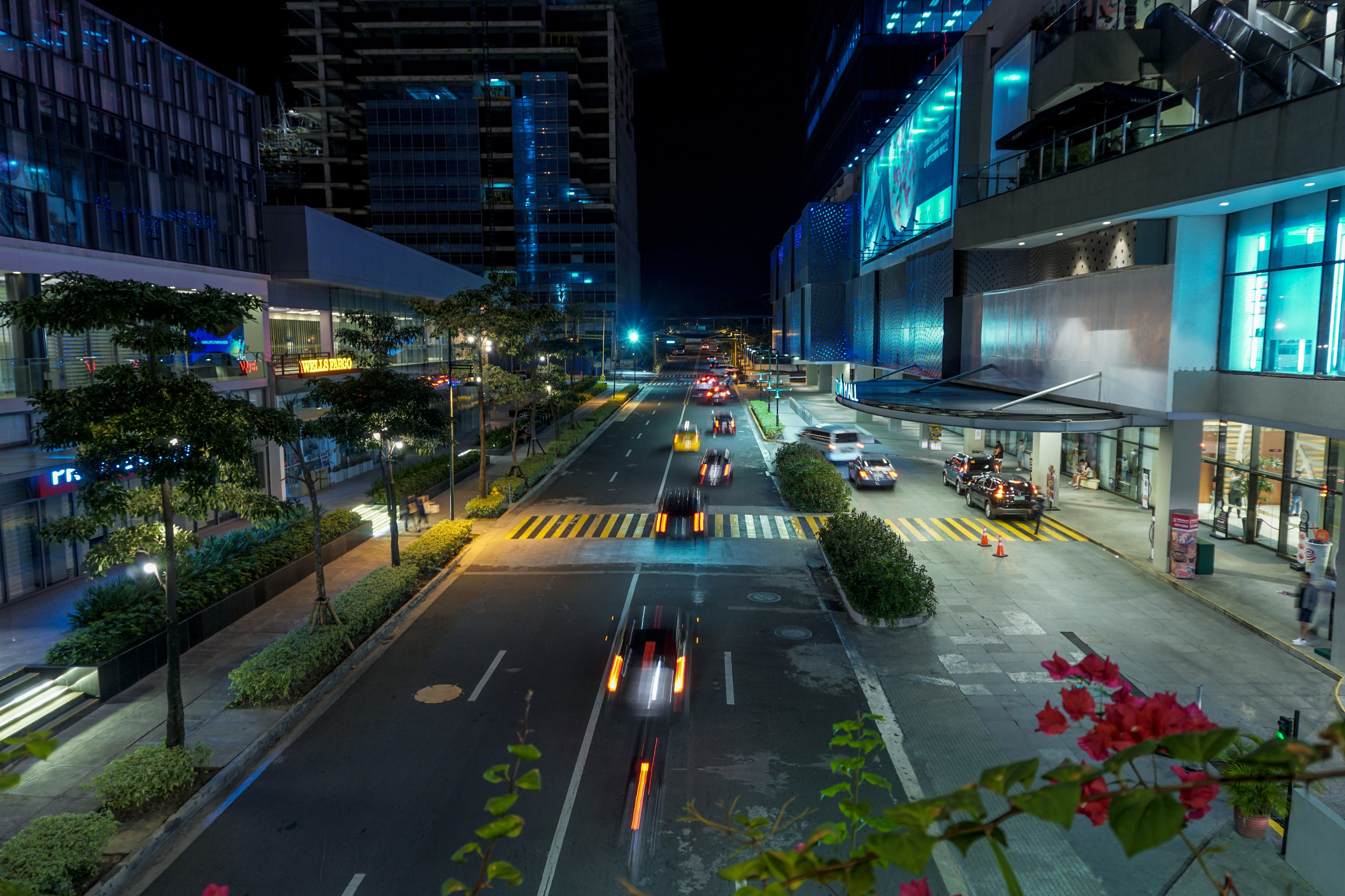 plant, light trails, mode of transportation, dusk, city street, building, outdoors, built structure, sign, no people, road, asia, street, car, building exterior, HD Wallpaper