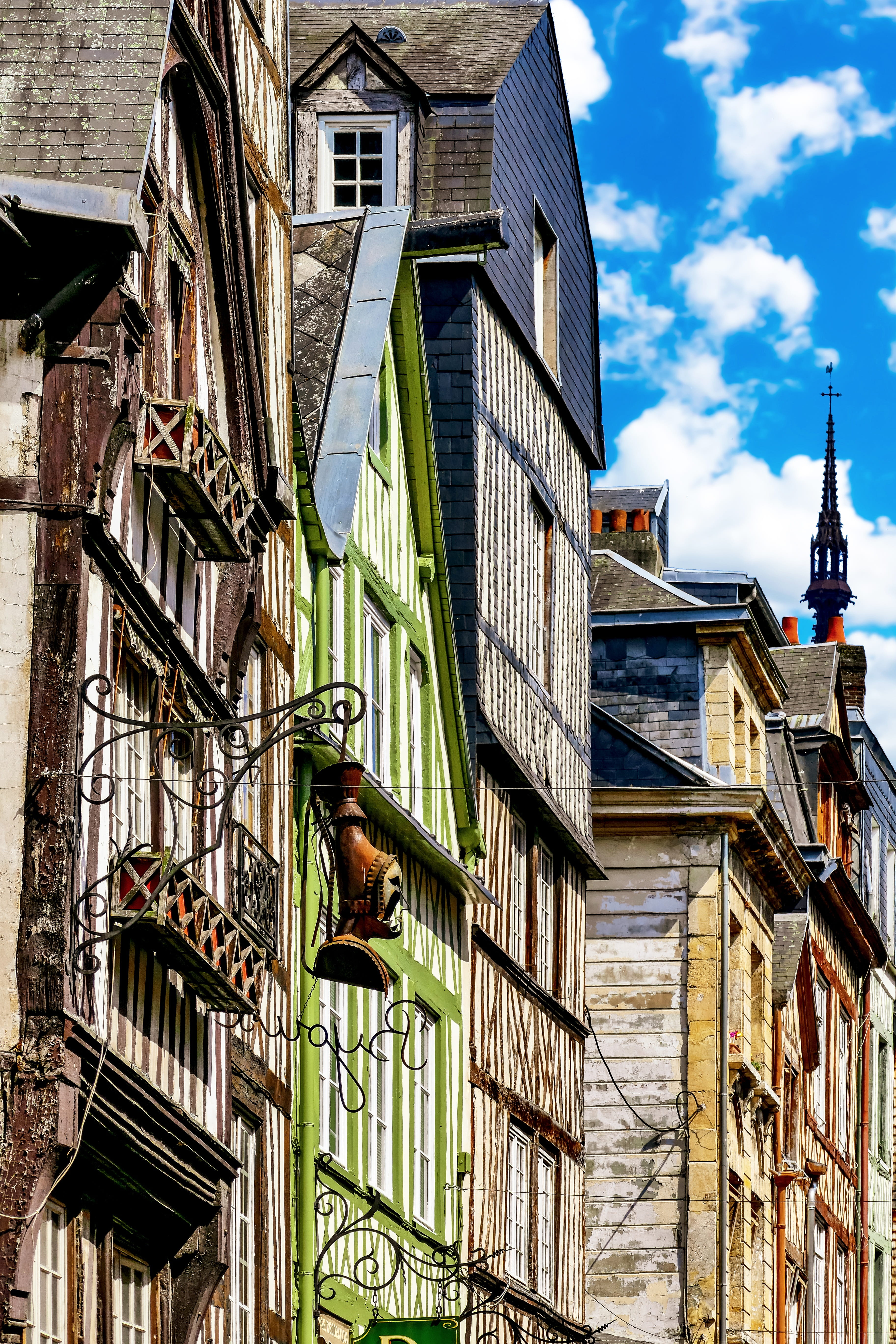 animals in the wild, day, gothic, rouen, france, built structure, architecture, outdoors, studs, healthy-maritime, 5K, low angle view, animal, residential district, Phone HD Wallpaper