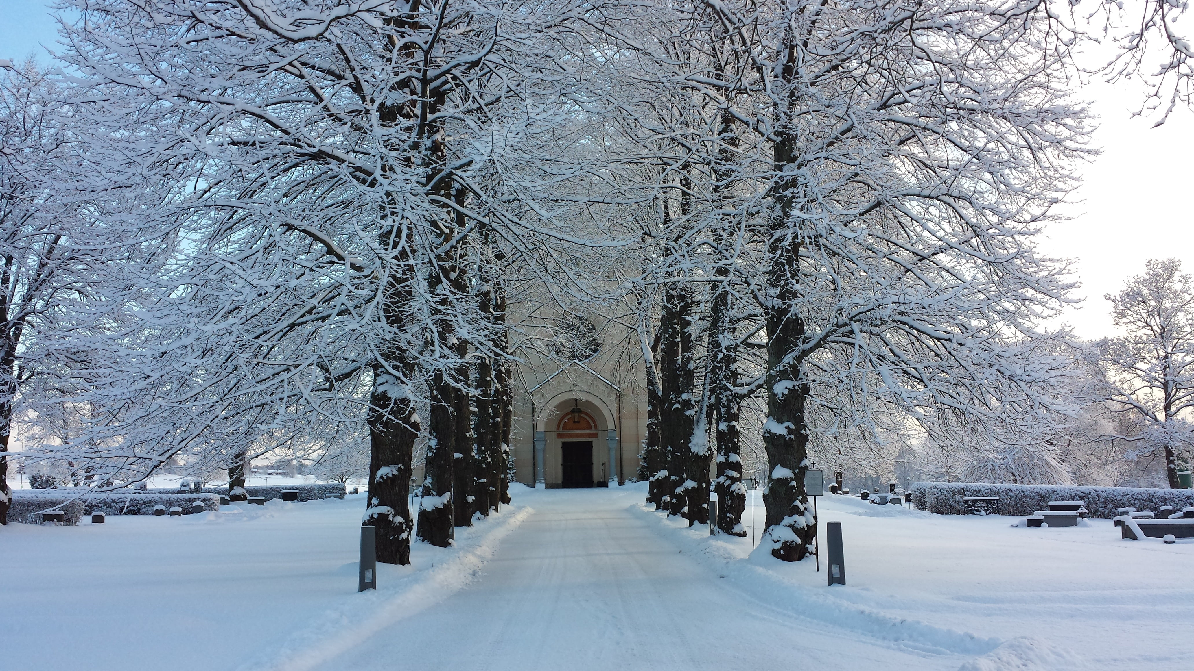 snowing, nature, cold - Temperature, church door, avenue, city, bare tree, white color, outdoors, treelined, building exterior, road, tree, built structure, HD Wallpaper