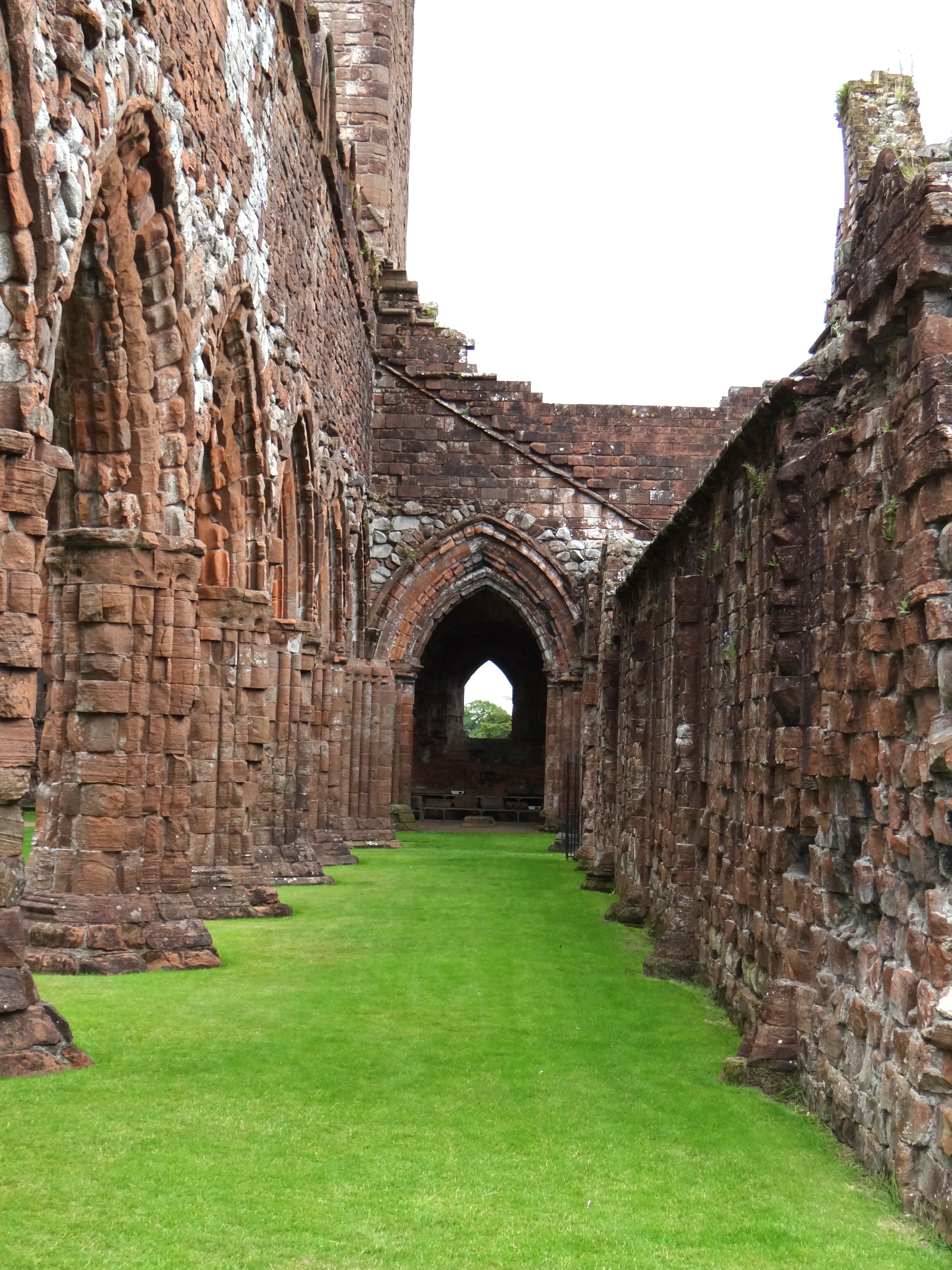 plant, architecture, gang, nave, old, scotland, stone Material, chapel, history, arches, the way forward, grass, no people, building Exterior, day, gothic, Phone HD Wallpaper