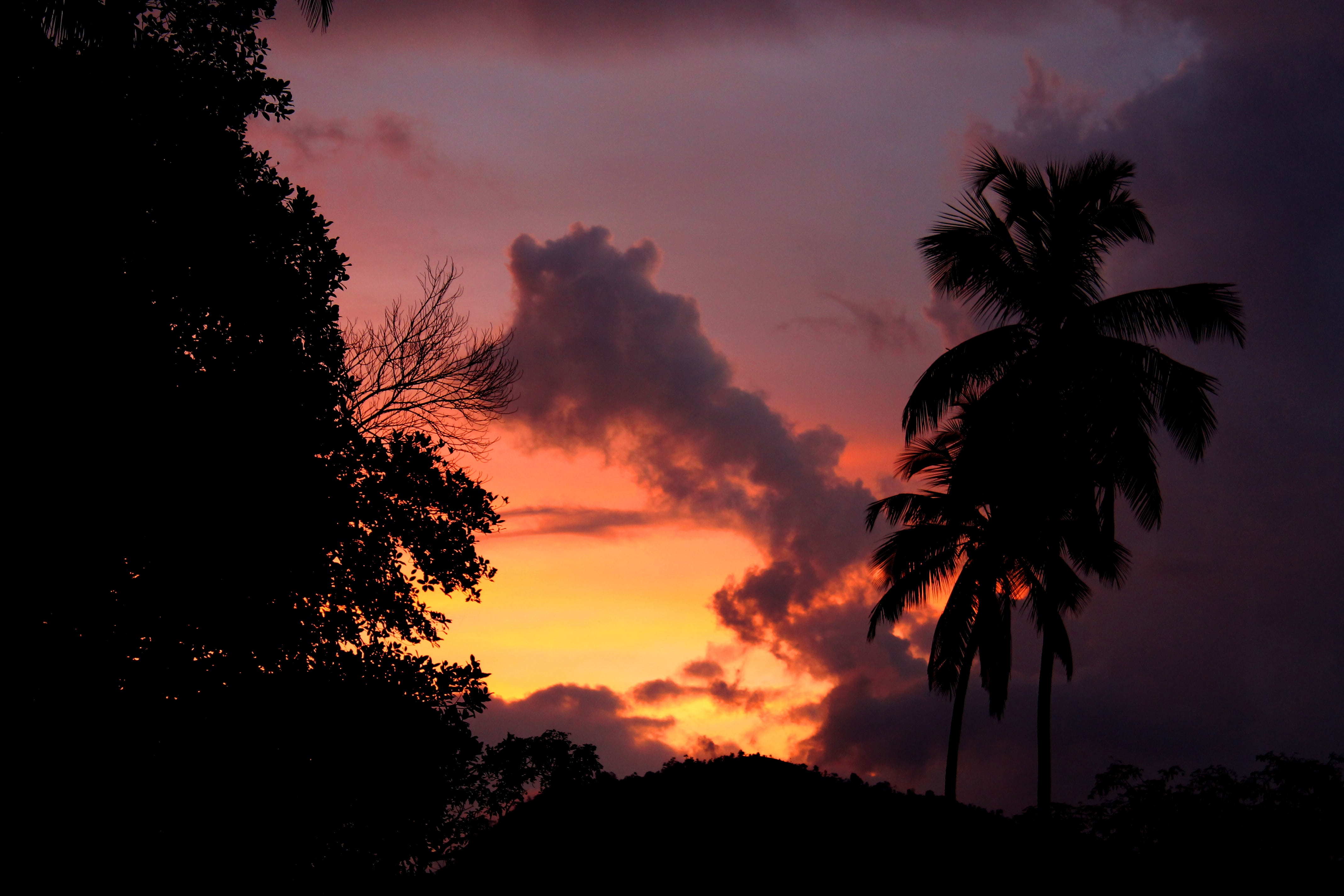 beauty in nature, tranquility, tranquil scene, scenics - nature, no people, dusk, 4K, outdoors, tropical climate, palm tree, sunset, plant, sky, idyllic, HD Wallpaper