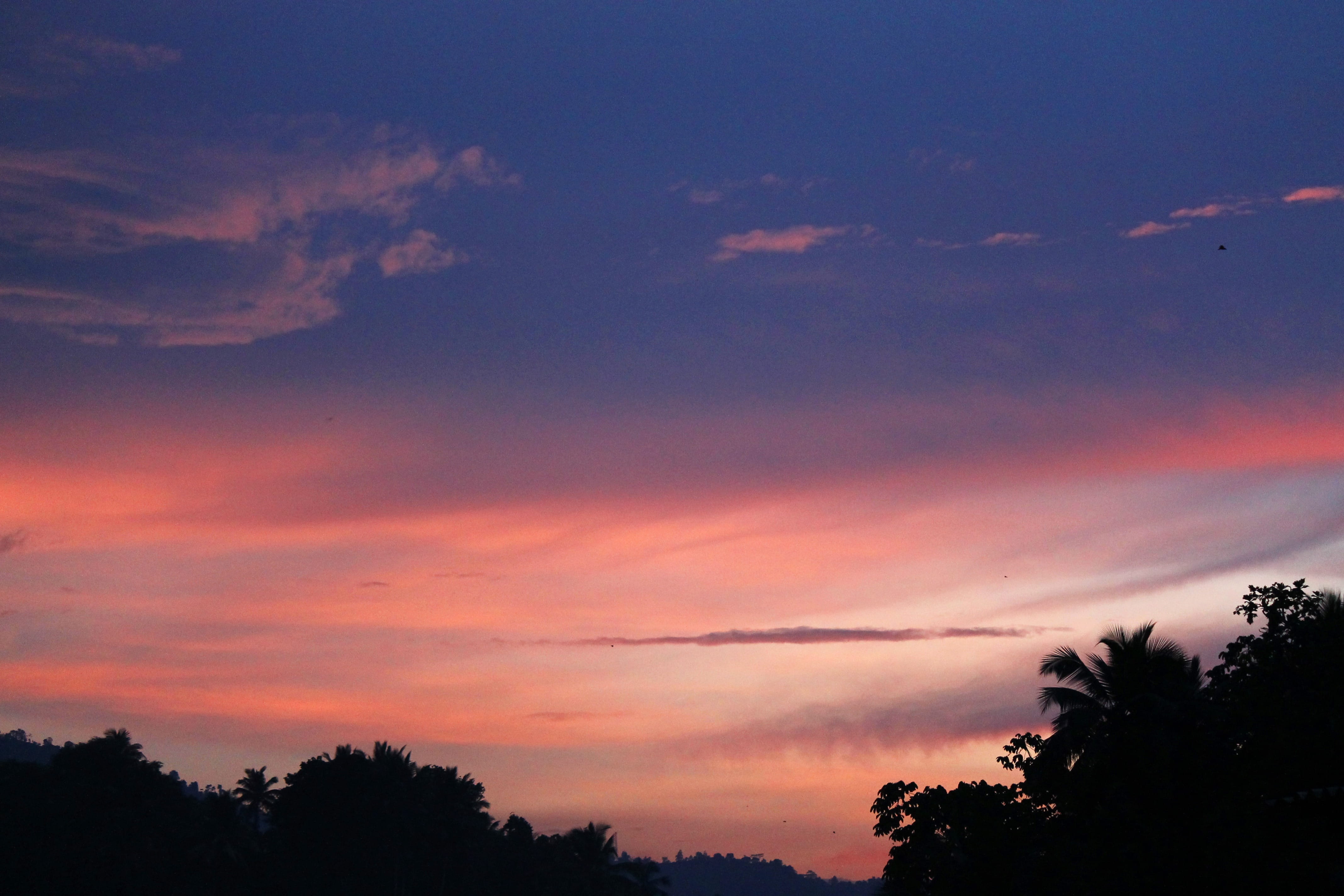 beauty in nature, cloudscape, no people, Sunset, scenics, low angle view, Gampola, sky, tranquil scene, romantic sky, space, growth, weather, tranquil, HD Wallpaper