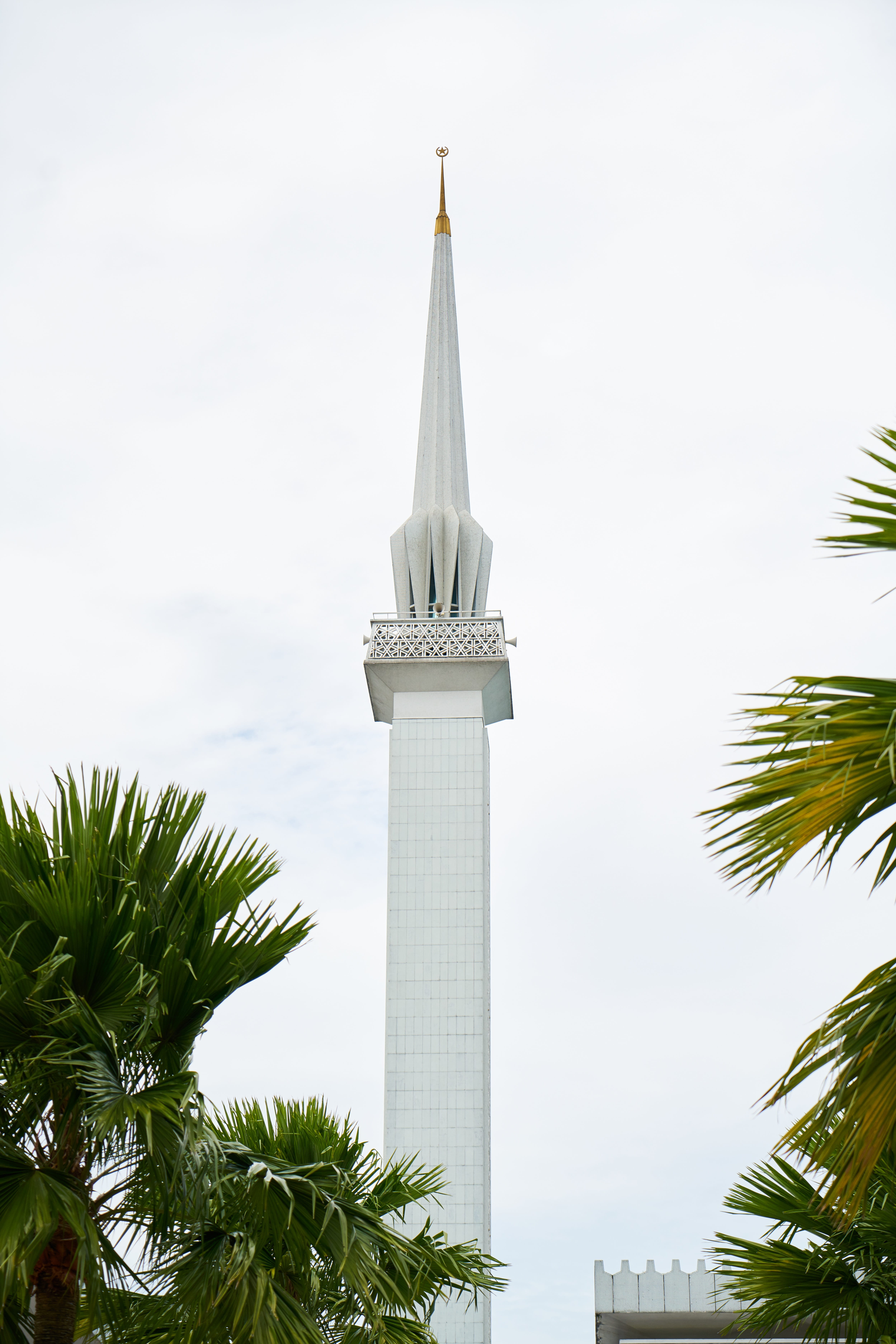 coconut palm tree, built structure, religion, building exterior, background, palm tree, outdoors, azan, sky, architecture, city, travel destinations, tree, Phone HD Wallpaper