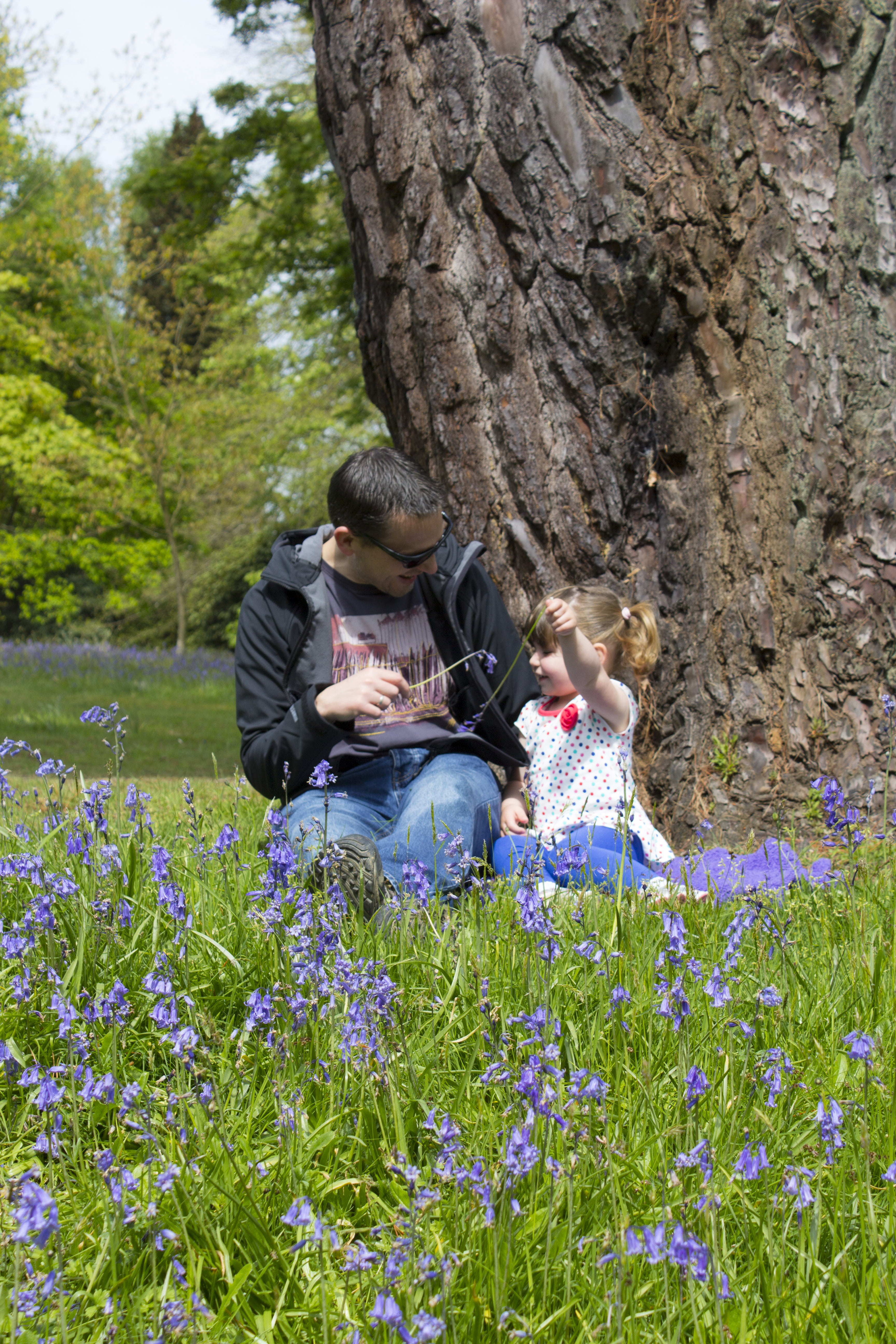 two people, men, laughter, man, family, women, leisure activity, real people, couple - relationship, park, father, dad, flowering plant, day, nature, plant, Phone HD Wallpaper