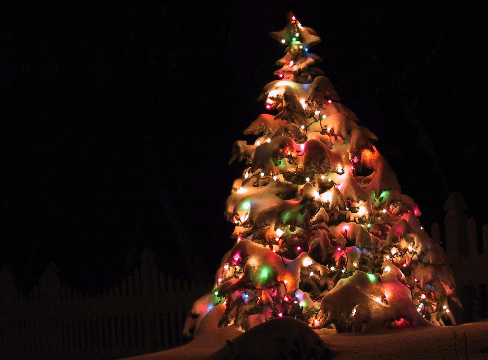 tree, garland, 720P, holiday, snow, night, street, christmas tree, christmas, HD Wallpaper
