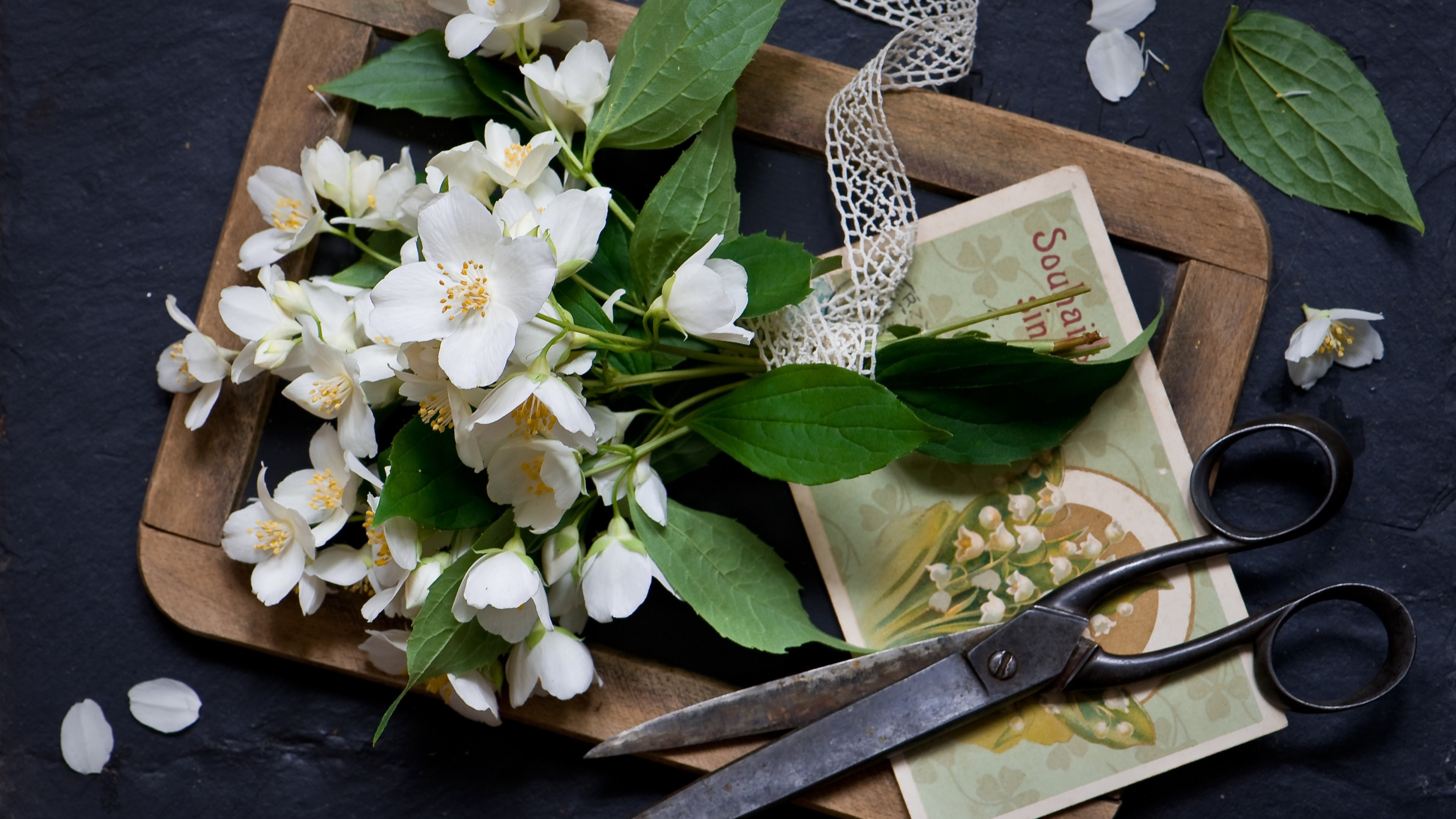 Wood, Board, Flowers, Jasmine, black, white, Scissor, 4K, HD Wallpaper
