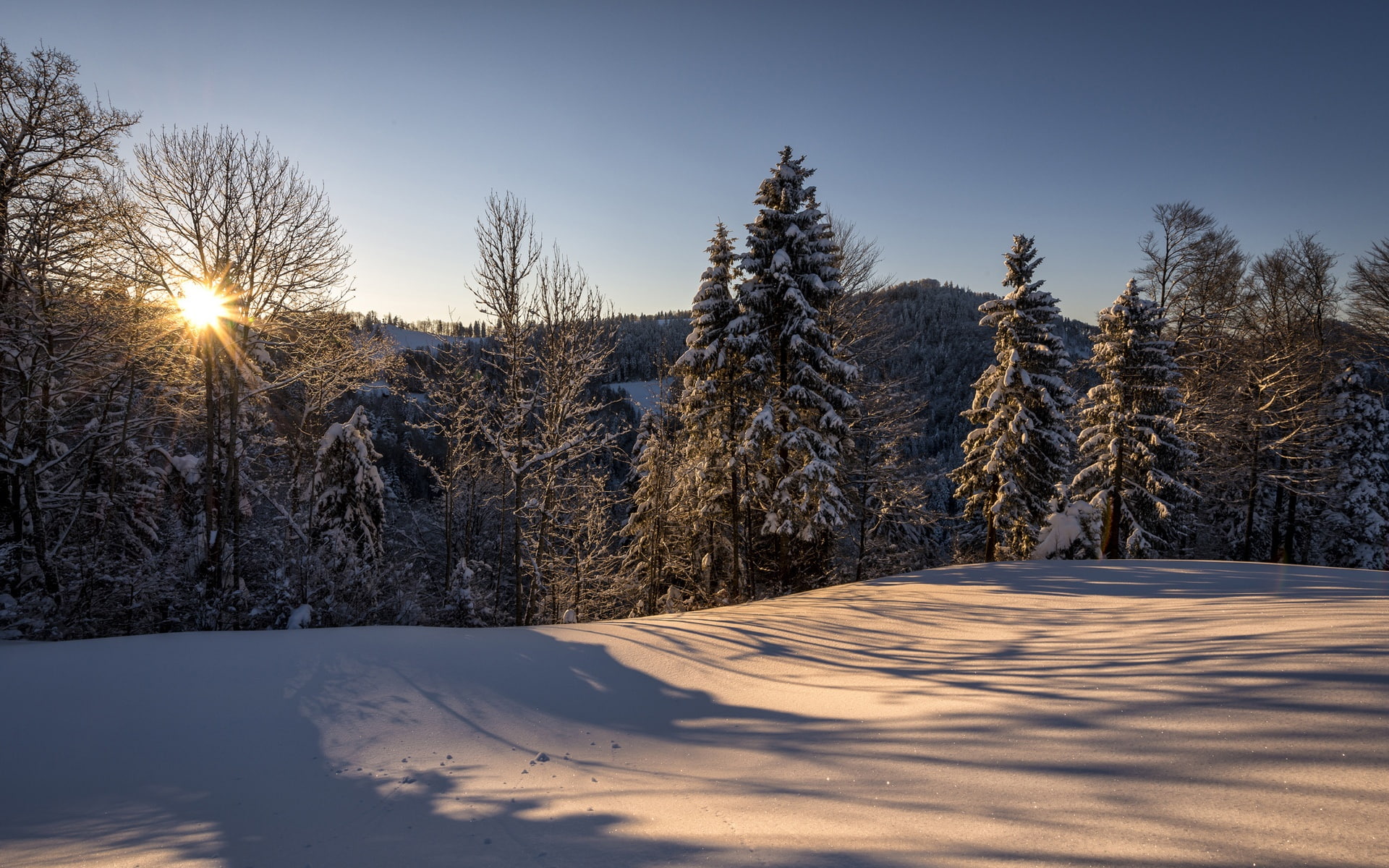 Winter, Landscape, Switzerland, Hulftegg, Snow, 1080P, Forest, Sun, Nature, Morning, HD Wallpaper