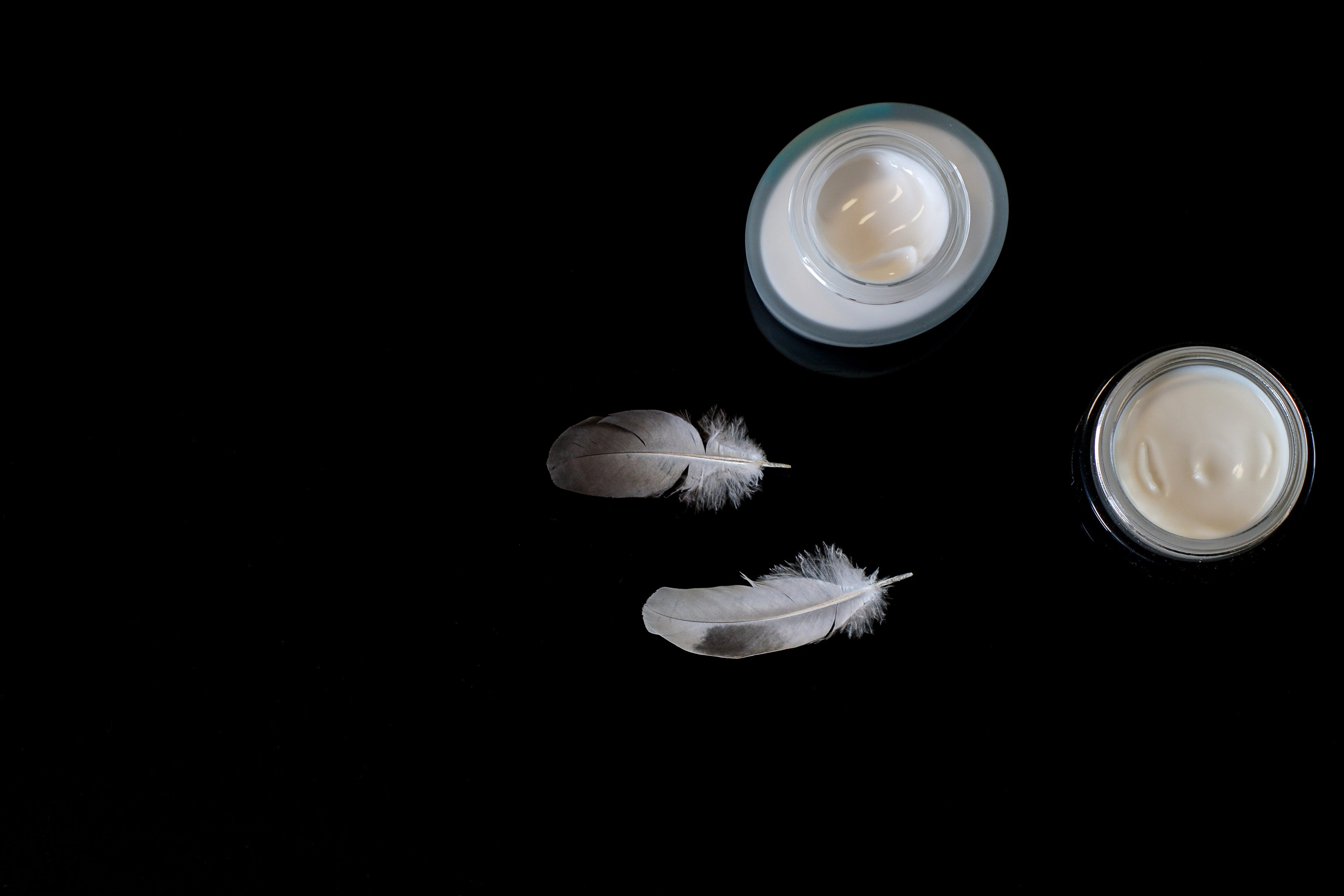 studio shot, high angle view, white color, close-up, nature, two, beauty, flower, container, feathers, lay flat, illuminated, 4K, lighting equipment, indoors, HD Wallpaper
