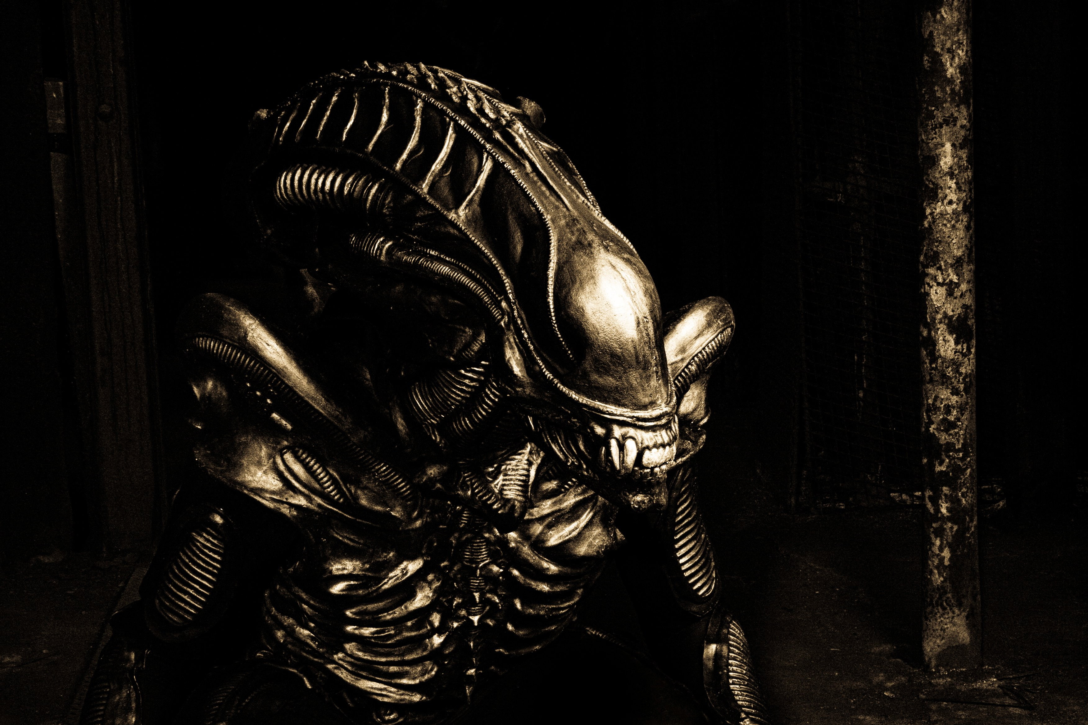 sci, r, Dark, fantasy, Giger, horror, artistic, h, fi, Evil, alien, Xenomorph, Aliens, artwork, 2K, art, HD Wallpaper