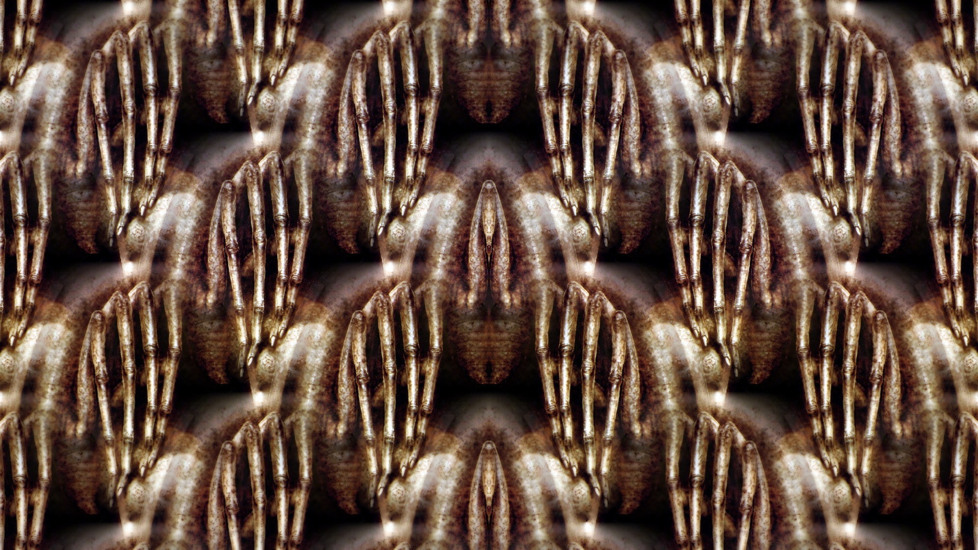 pattern, Symmetry, H. R. Giger, 1080P, HD Wallpaper