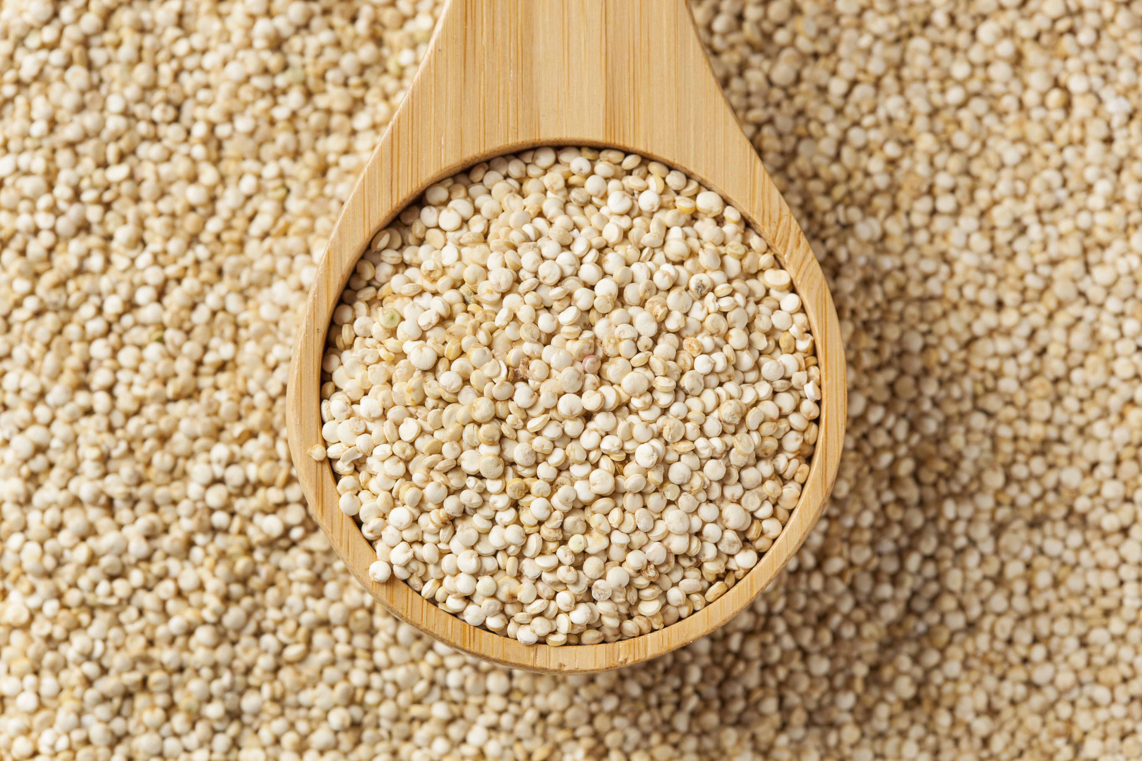 Quinoa, Food, 4K, HD Wallpaper