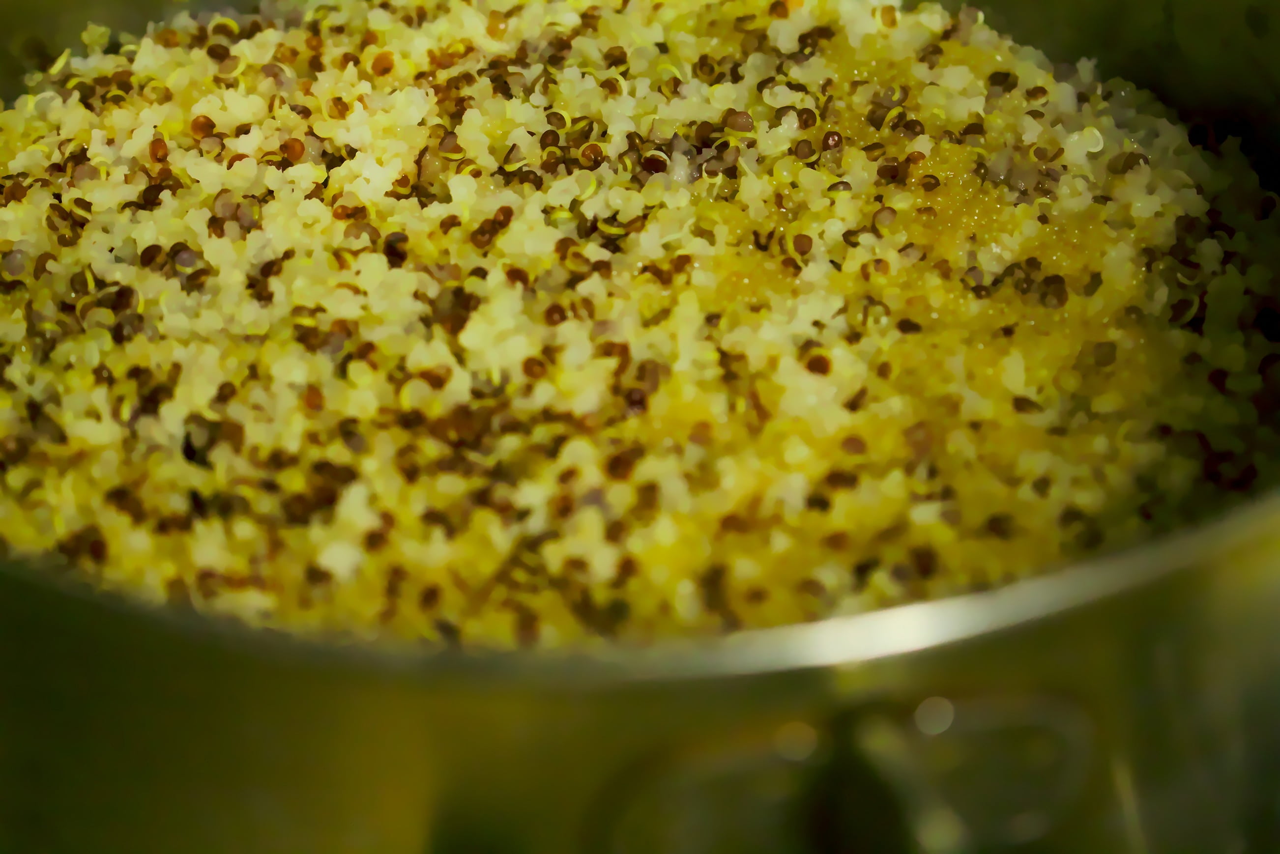 quinoa, no people, vegetarian, selective focus, photo, close-up, food and drink, nature, day, side, freshness, indulgence, 2K, high angle view, pot, cook, HD Wallpaper