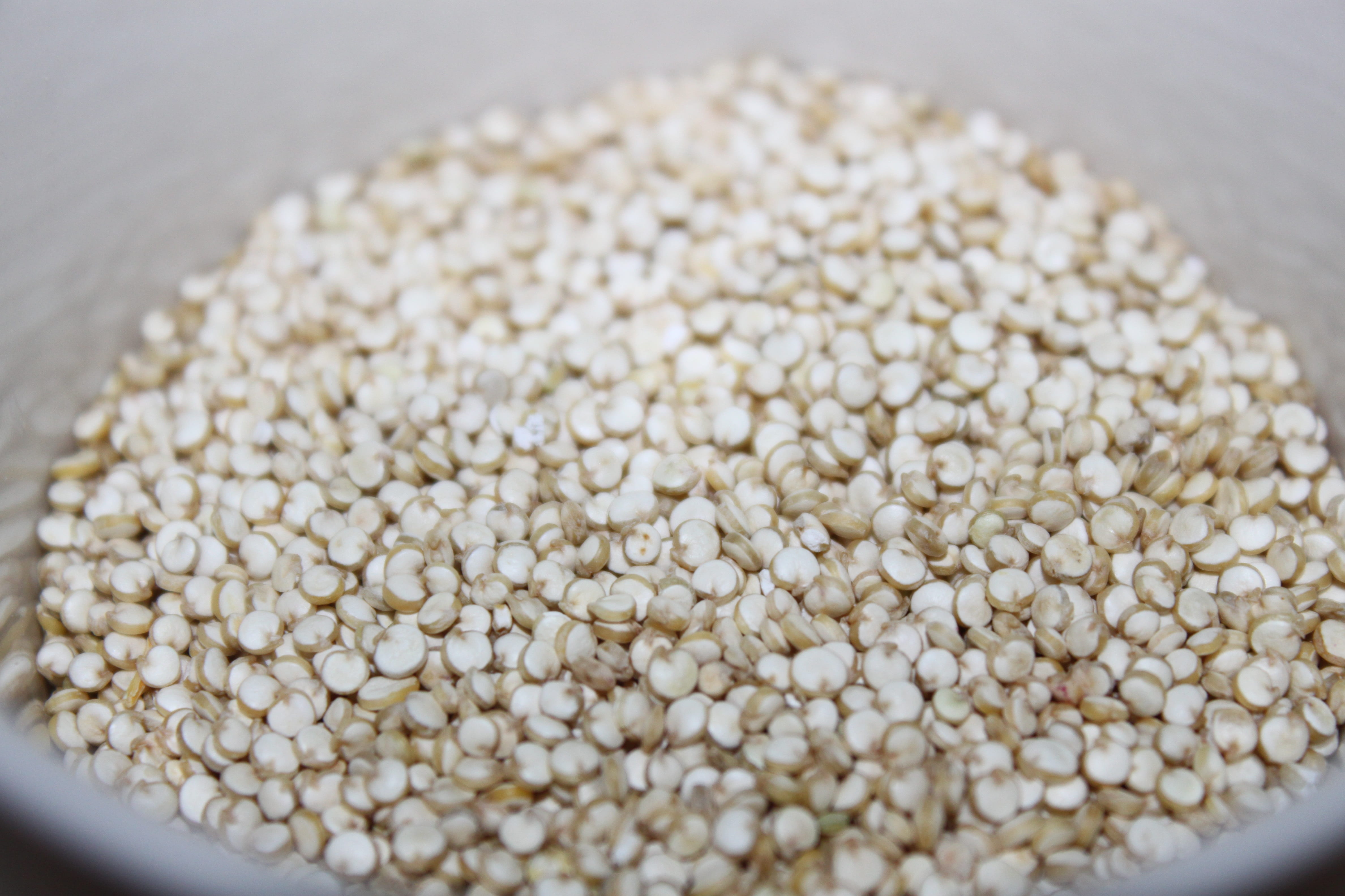 raw food, photo, cereal plant, vegetarian food, 4K, studio shot, white color, grains, inside, large group of objects, food, food and drink, wellbeing, HD Wallpaper