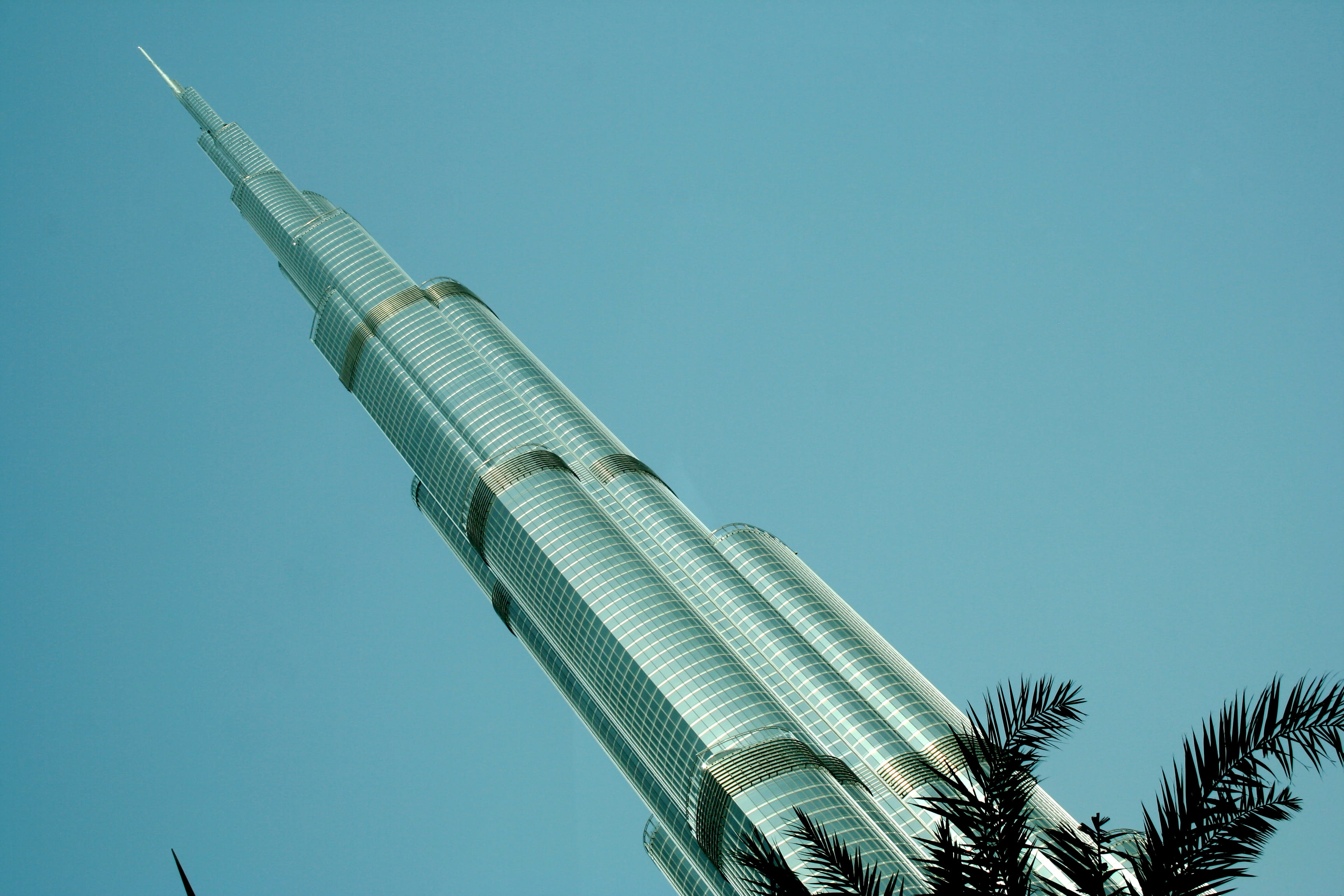 tree, 2K, tropical climate, tower, sky, clear sky, nature, palm leaf, tall - high, built structure, building, plant, burj khalifa, growth, palm trees, HD Wallpaper