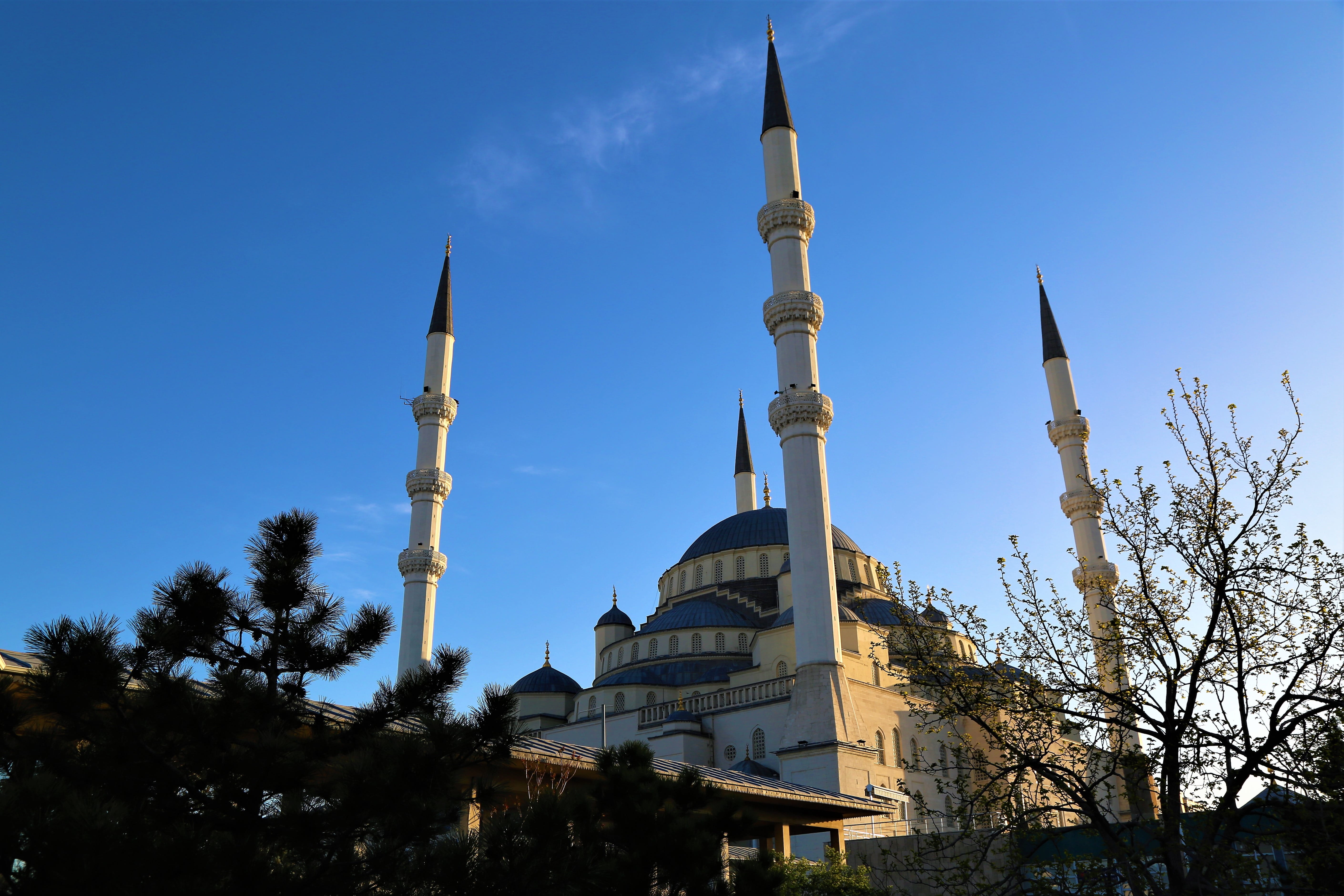 dome, plant, turkey, travel destinations, 5K, day, cami, open, belief, low angle view, built structure, sky, nature, clear sky, outdoors, no people, city, HD Wallpaper