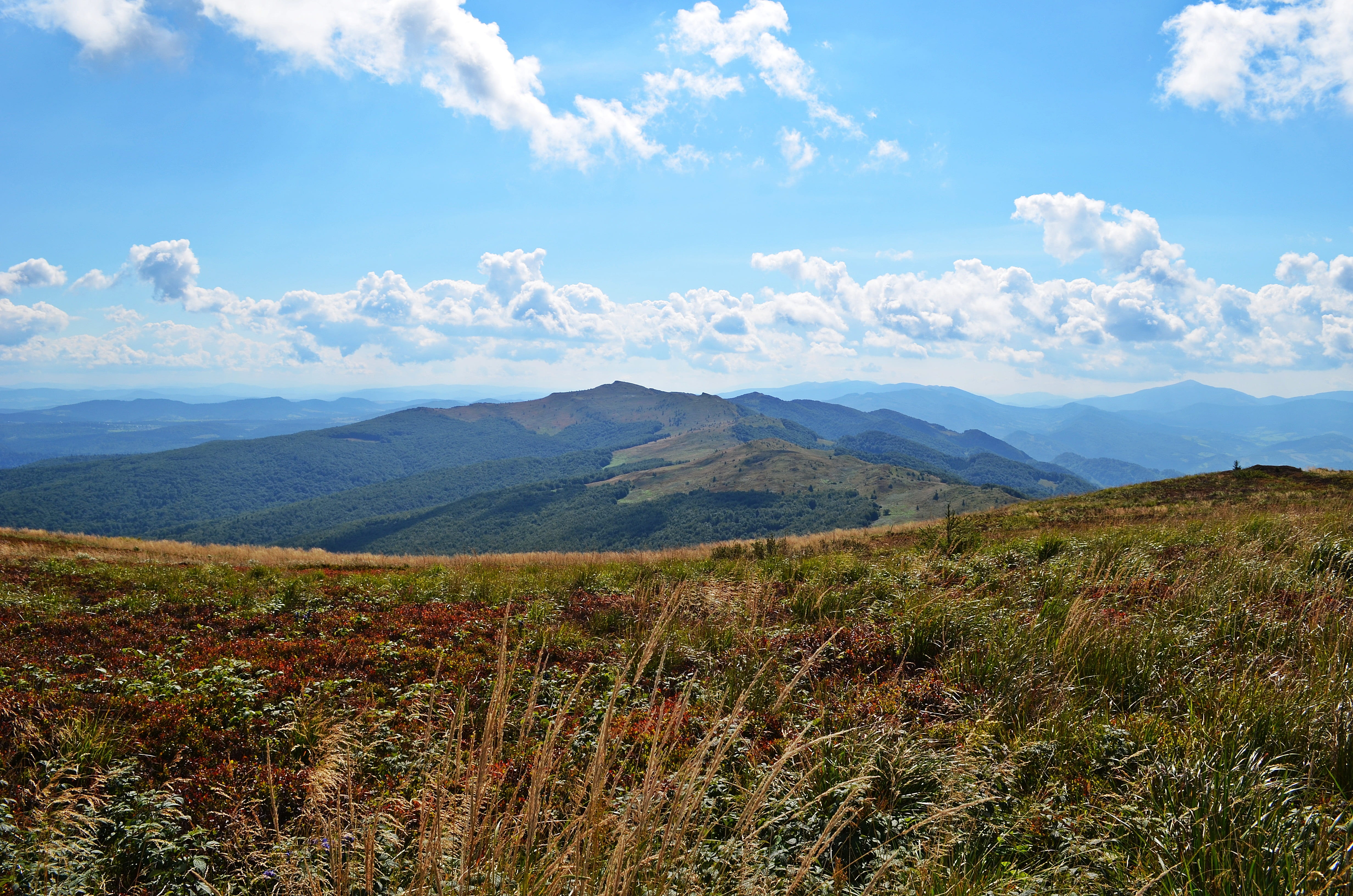 meadow, remote, bieszczady, summer, travel destinations, holidays, top view, hill, panoramic, colorful, Top, sky, travel, the silence, idyllic, View, scenics - nature, HD Wallpaper