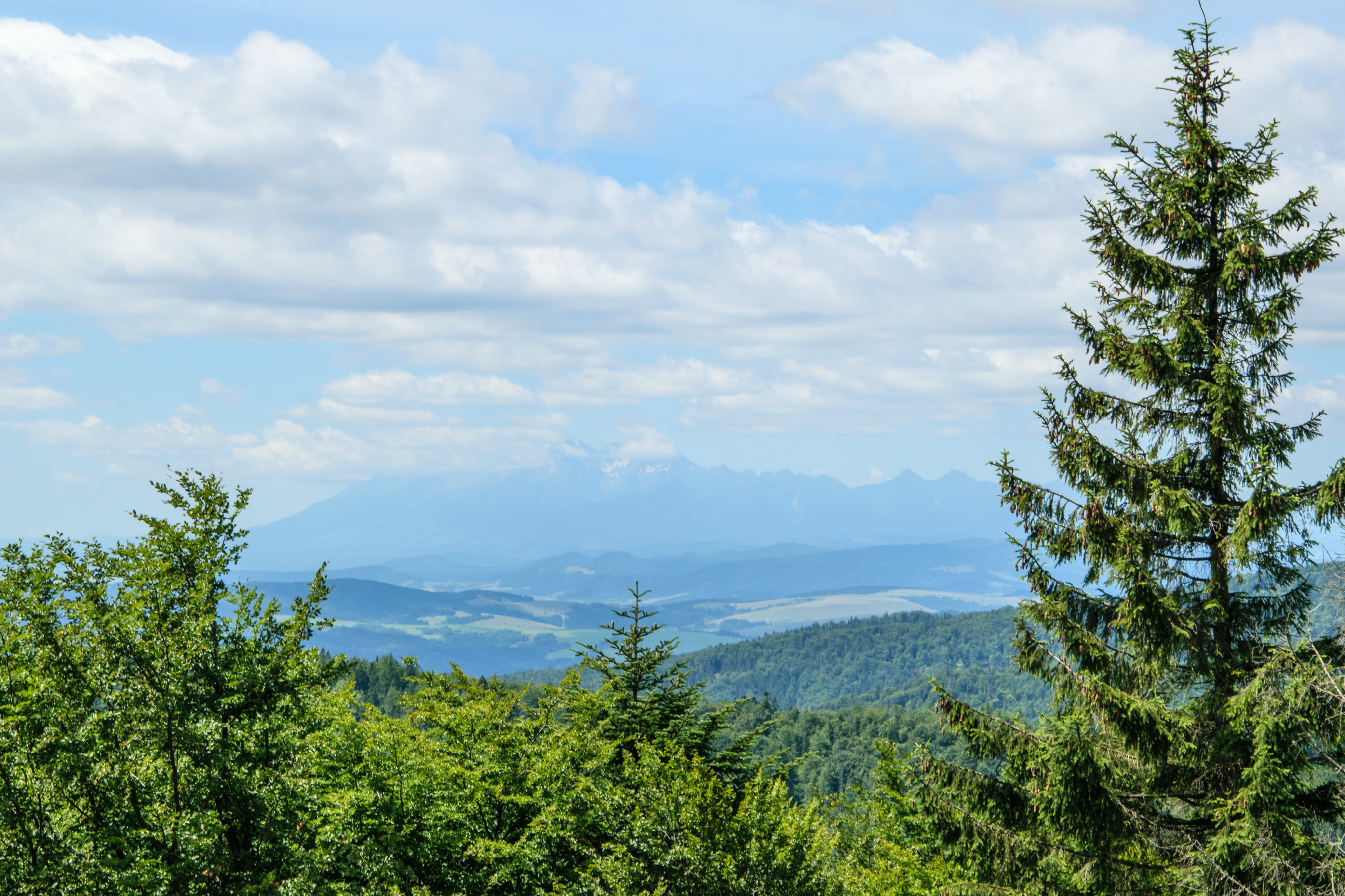 5K, clouds, panorama mountain, plant, high tatras, peace of mind, the beauty of the mountains, tops, sky, green, mountain hiking, wandering, environment, HD Wallpaper