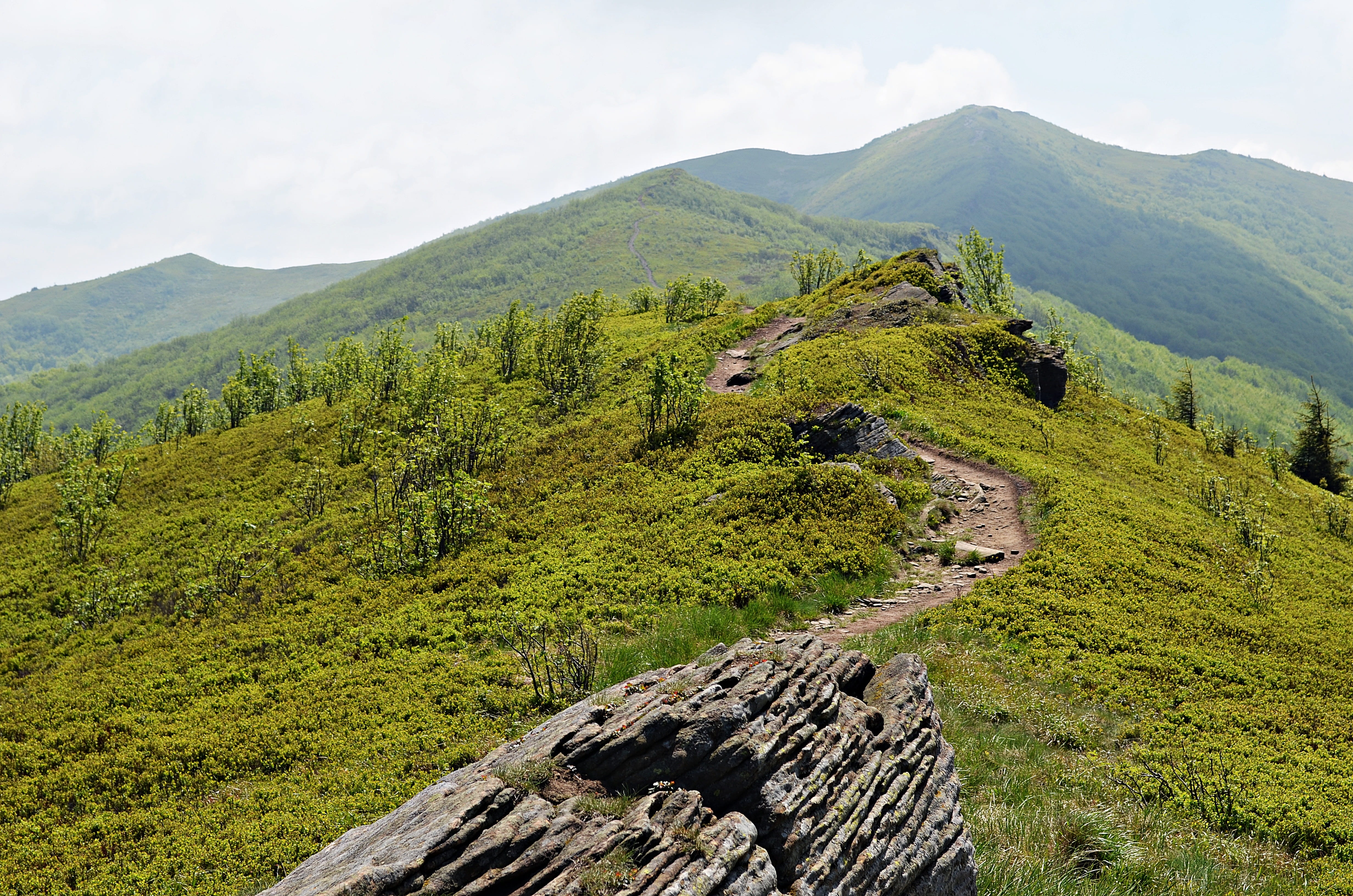 sky, sunny, trail, green color, plant, on the trail, no people, view, beech berdo, mountain peak, hiking, tranquility, sunny day, meadow, environment, the path, HD Wallpaper