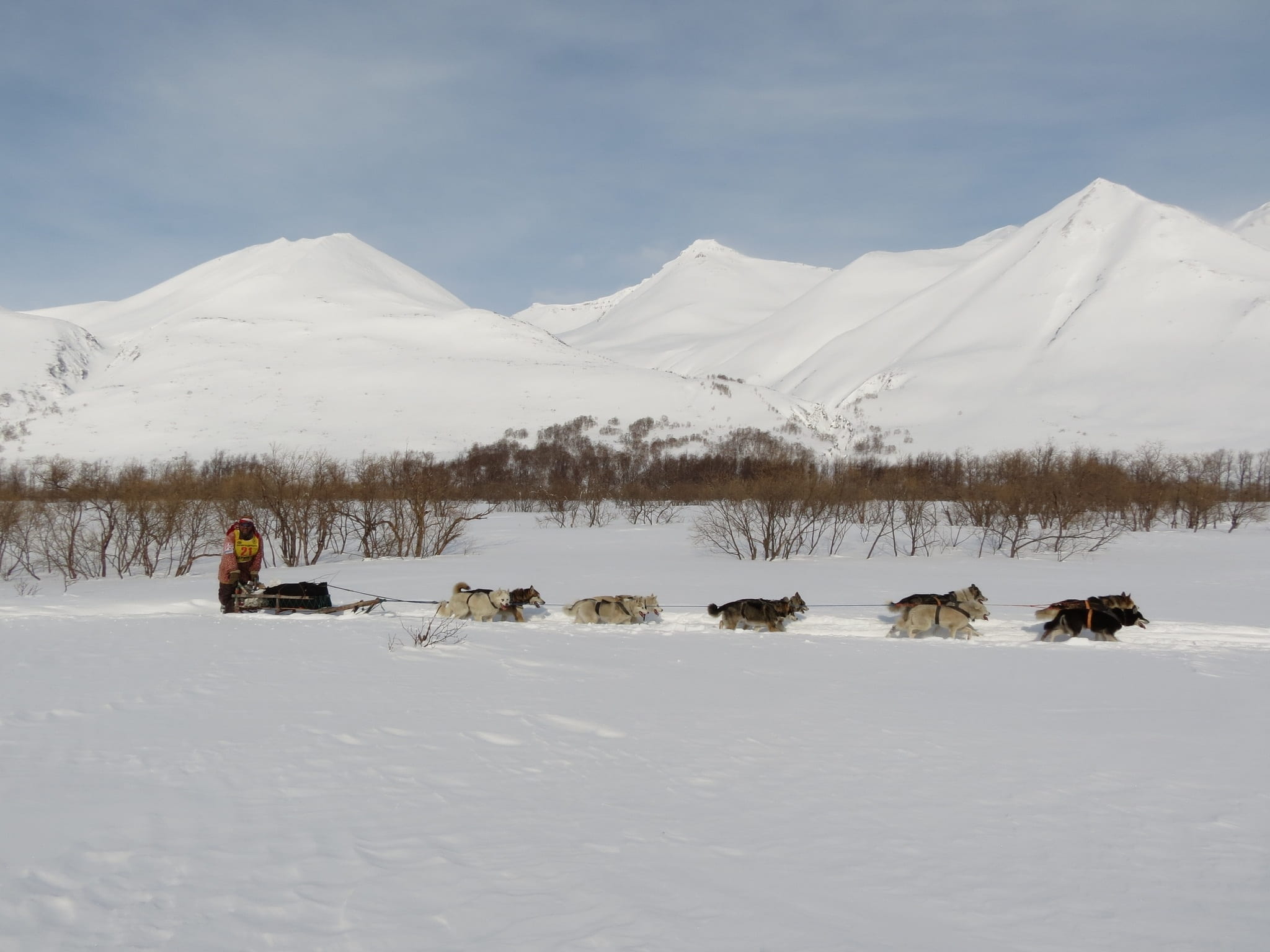 sky, outdoors, mountain, dog, non-urban scene, field, scenics - nature, mans best friend, husky, hill, snow, cold, mountain range, sleds, mountains, vacation, HD Wallpaper