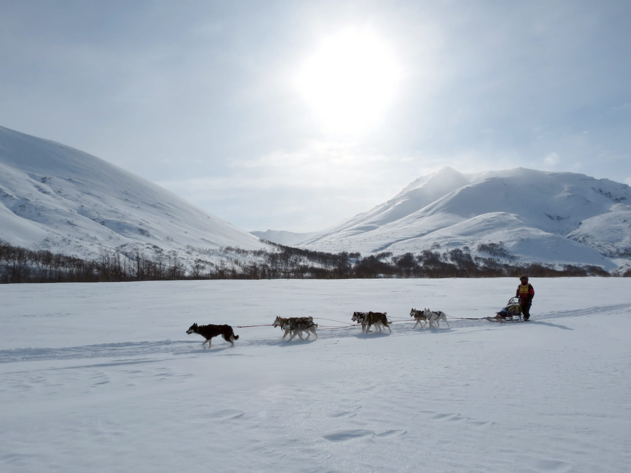 sky, race, sun, domestic, person, mountain range, wildlife, landscape, domestic animals, sleds, cold temperature, beauty in nature, mountains, nature, pulled, HD Wallpaper