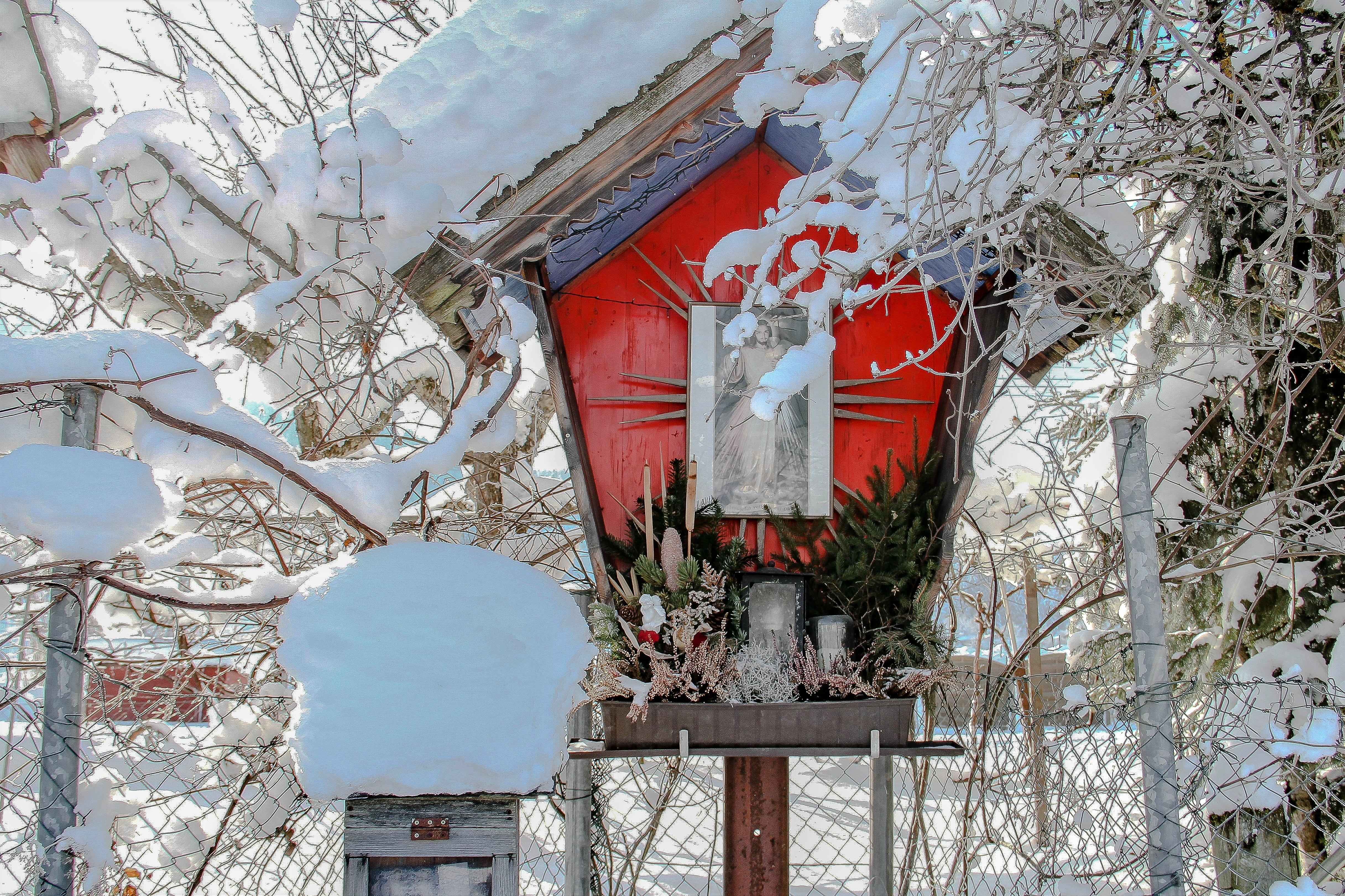 cold temperature, devoutly, contemplative, day, low angle view, advent, birdhouse, fairytale, bird, house, nature, red, wayside cross, winter dream, image stock, HD Wallpaper