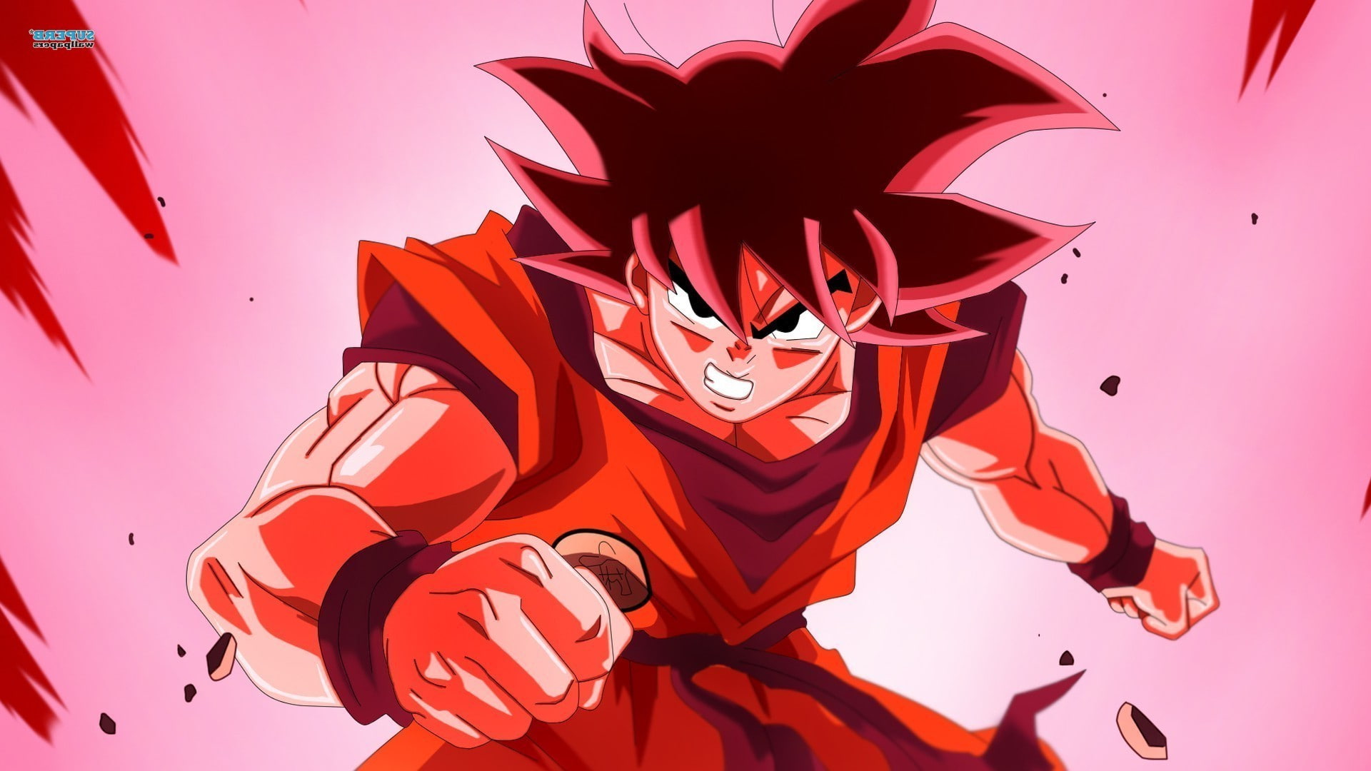 day, nature, indoors, Super Saiyan, 1080P, representation, beauty in nature, Dragon Ball, flowering plant, pink color, mask - disguise, animal, animal themes, HD Wallpaper