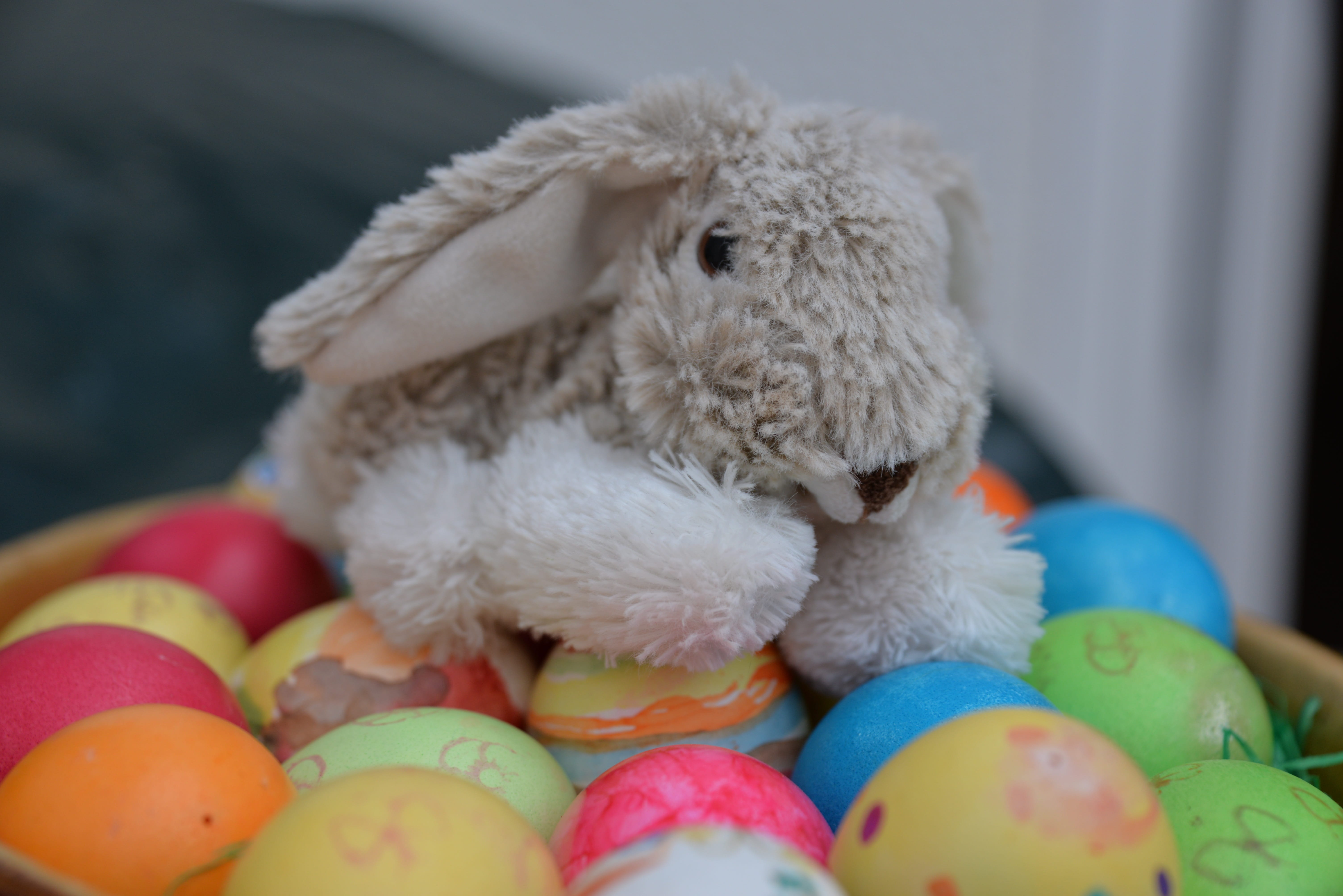 Egg, celebration, food, children, representation, many, christen, color, christian, Easter Bunny, animal themes, colored, religion, close-up, custom, colorful eggs, HD Wallpaper