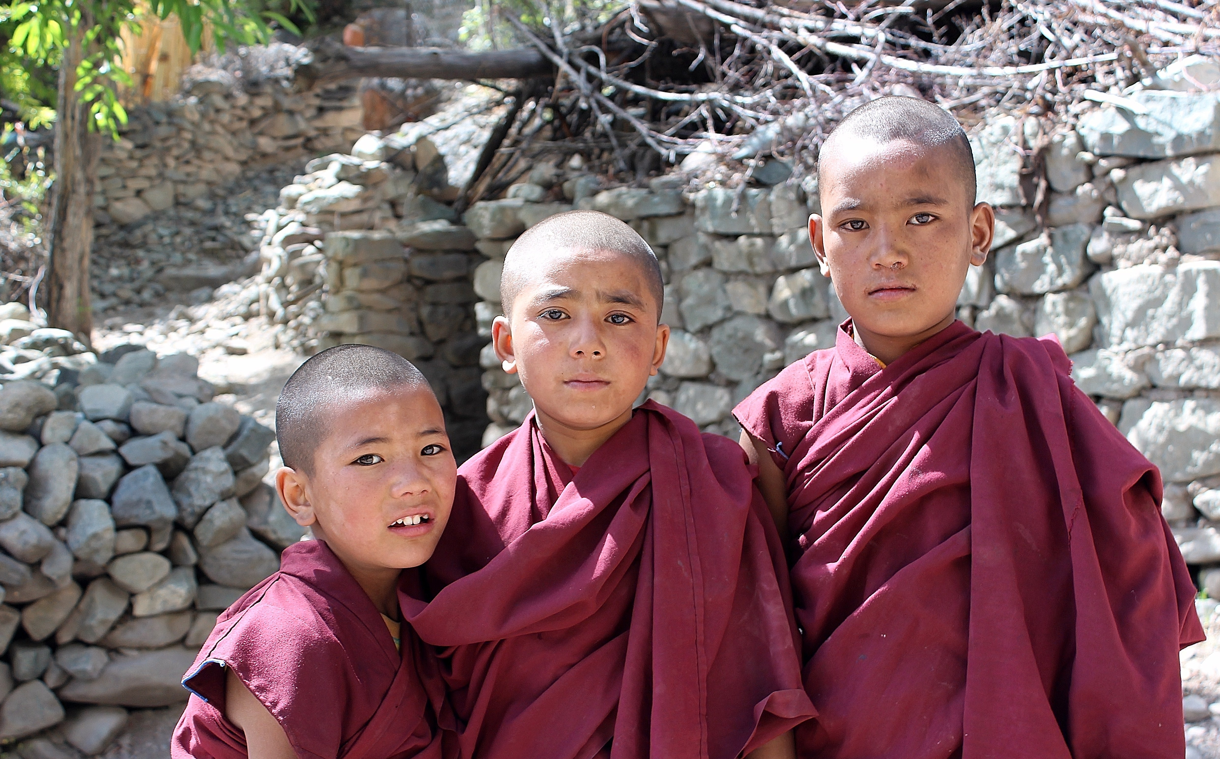 men, togetherness, budhisti, teenager, monk - Religious Occupation, girls, males, buddhism, boys, monk, asia, group of people, spirituality, 4K, looking at camera, HD Wallpaper
