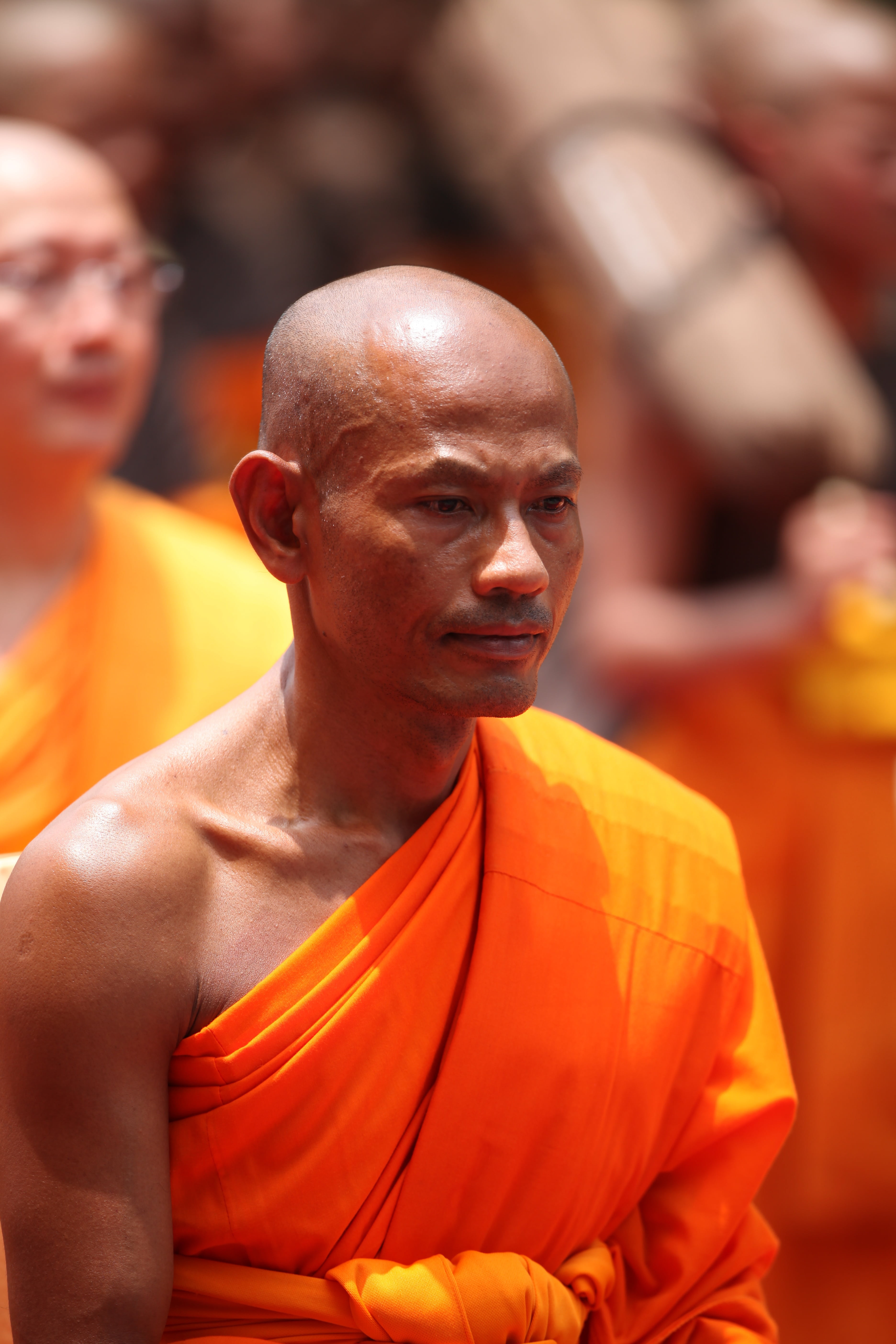 people, belief, elderly, asia, bald, temple, meditate, waist up, buddhism, phra dhammakaya, monk - Religious Occupation, adult, more than, thailand, cultures, Phone HD Wallpaper