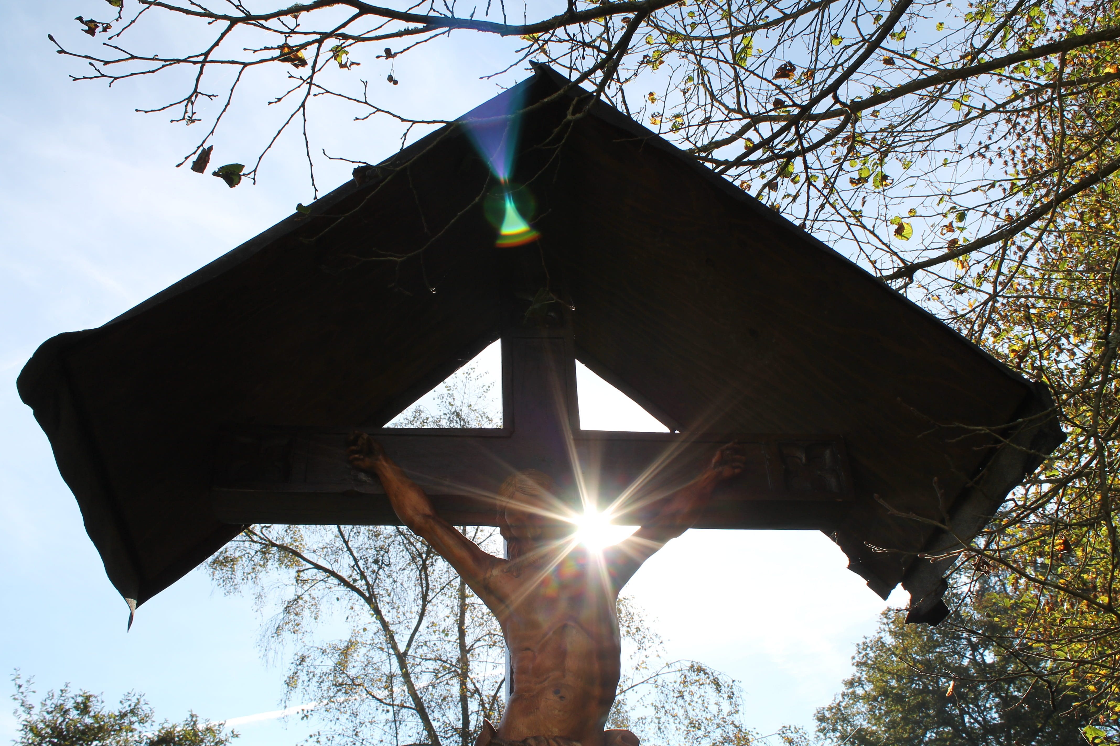 christianity, branch, tree, easter, christian, wood - material, faith, sky, 4K, forest, no people, good friday, gloss, wooden cross, outdoors, rays, autumn, HD Wallpaper