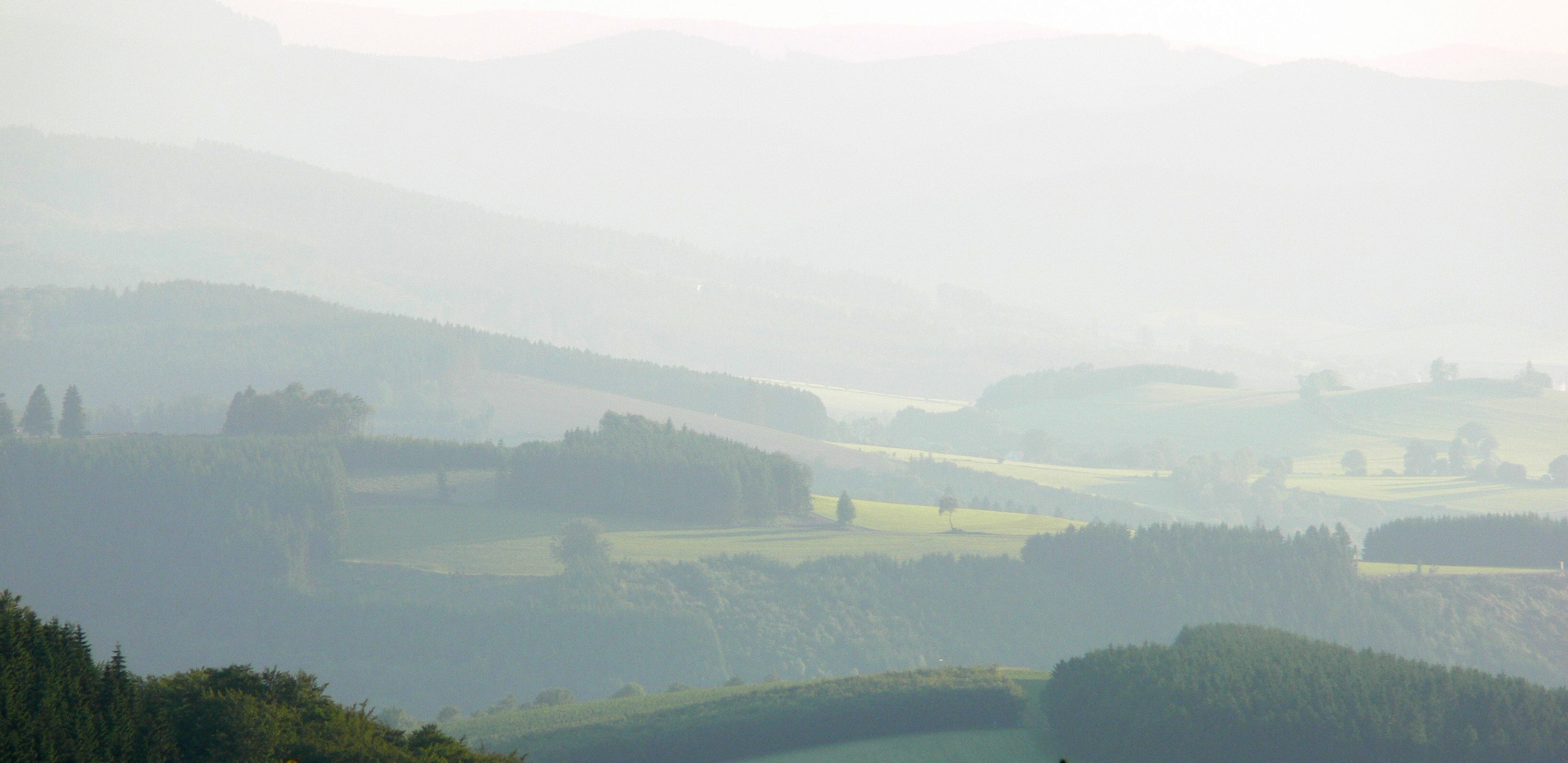 Morning, nature, day, autumn, meadow, smog, scenics - nature, Cold, Fog, non-urban scene, winterberg, tranquil scene, grieves, Valley, loneliness, mountain, HD Wallpaper