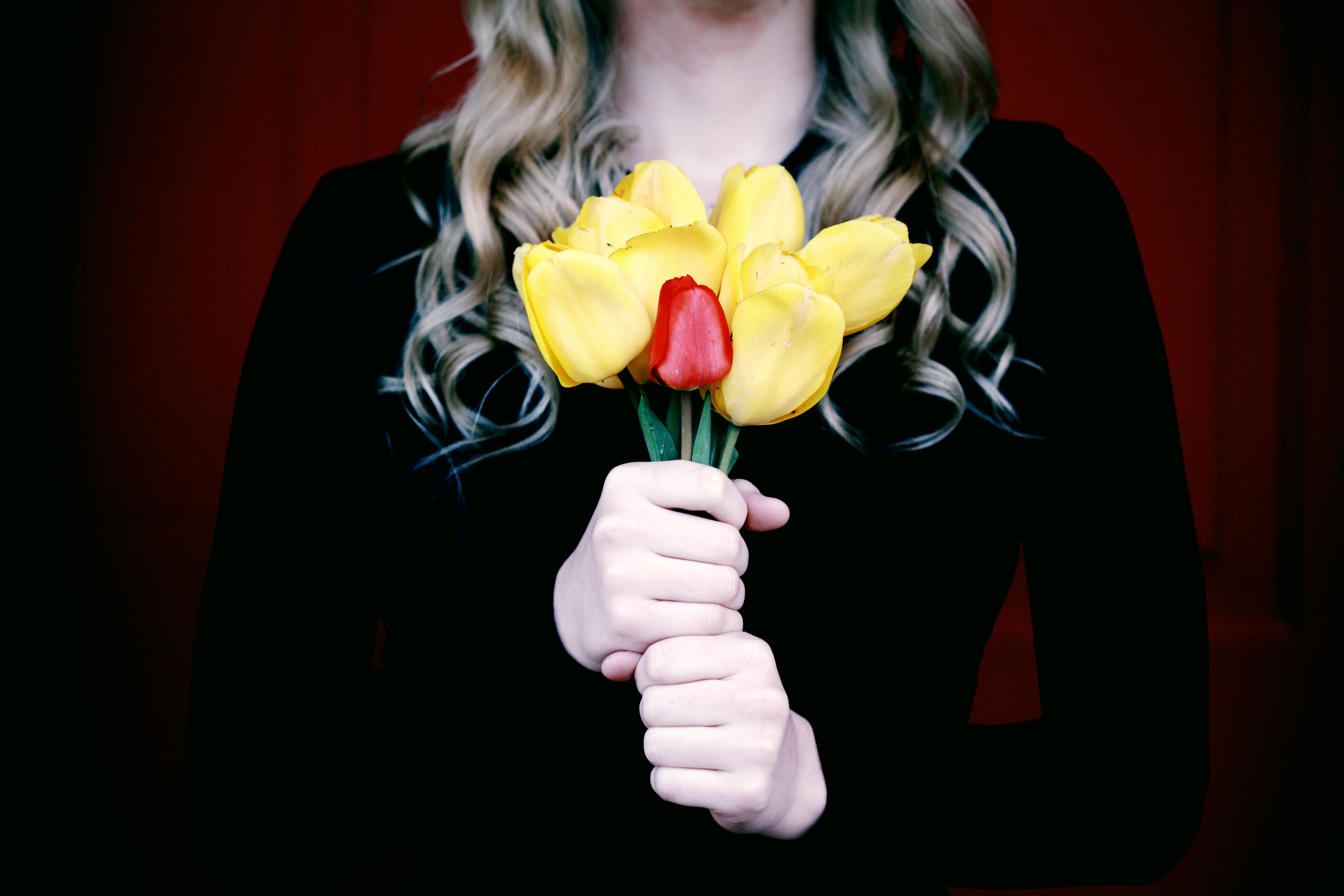 freshness, indoors, front view, grieving, sweatshirt, red, friend, women, flowering plant, flower, daughter, one person, mother, 5K, adult, memory, rip, HD Wallpaper