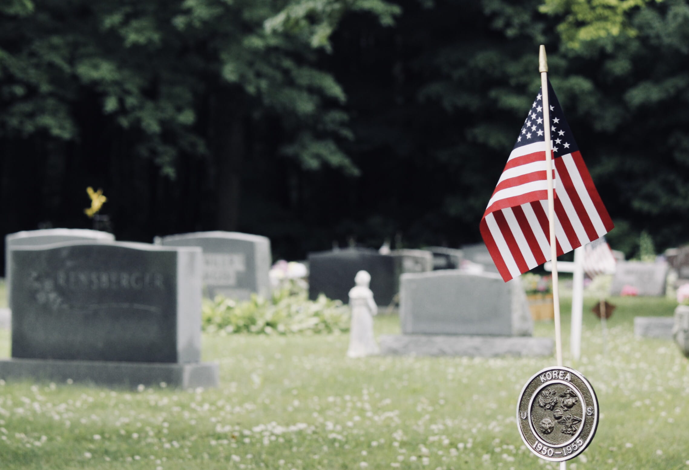 american, grass, nature, coin, tomb, american flag, graves, patriotism, u, near, sad, grieving, war memorial, cemetery, emotion, memorial, funeral, outdoors, HD Wallpaper