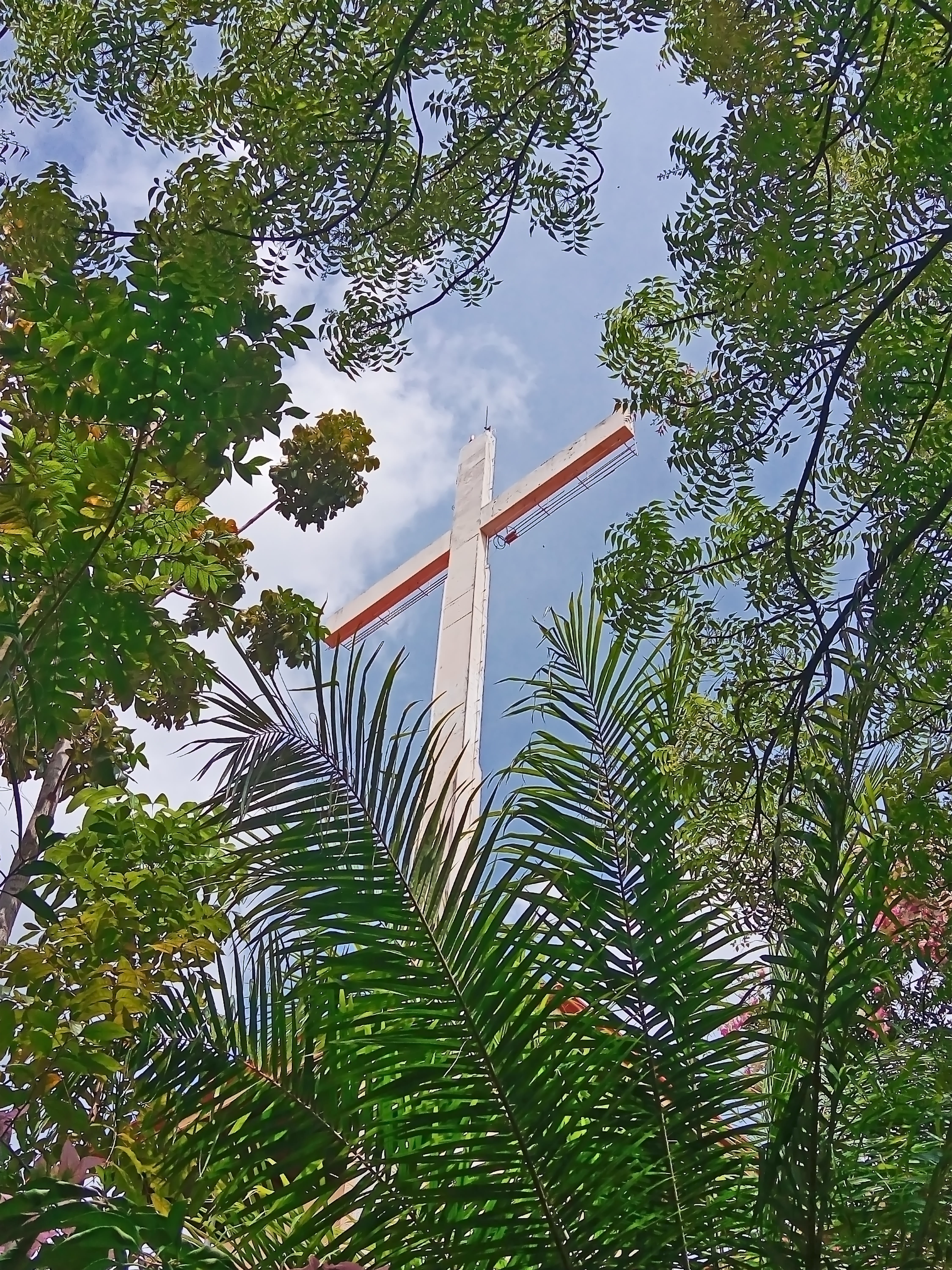 lent season, wood, industry, air pollution, low angle view, built structure, forest, good friday, green color, green, season, outdoors, growth, plant, day, Phone HD Wallpaper