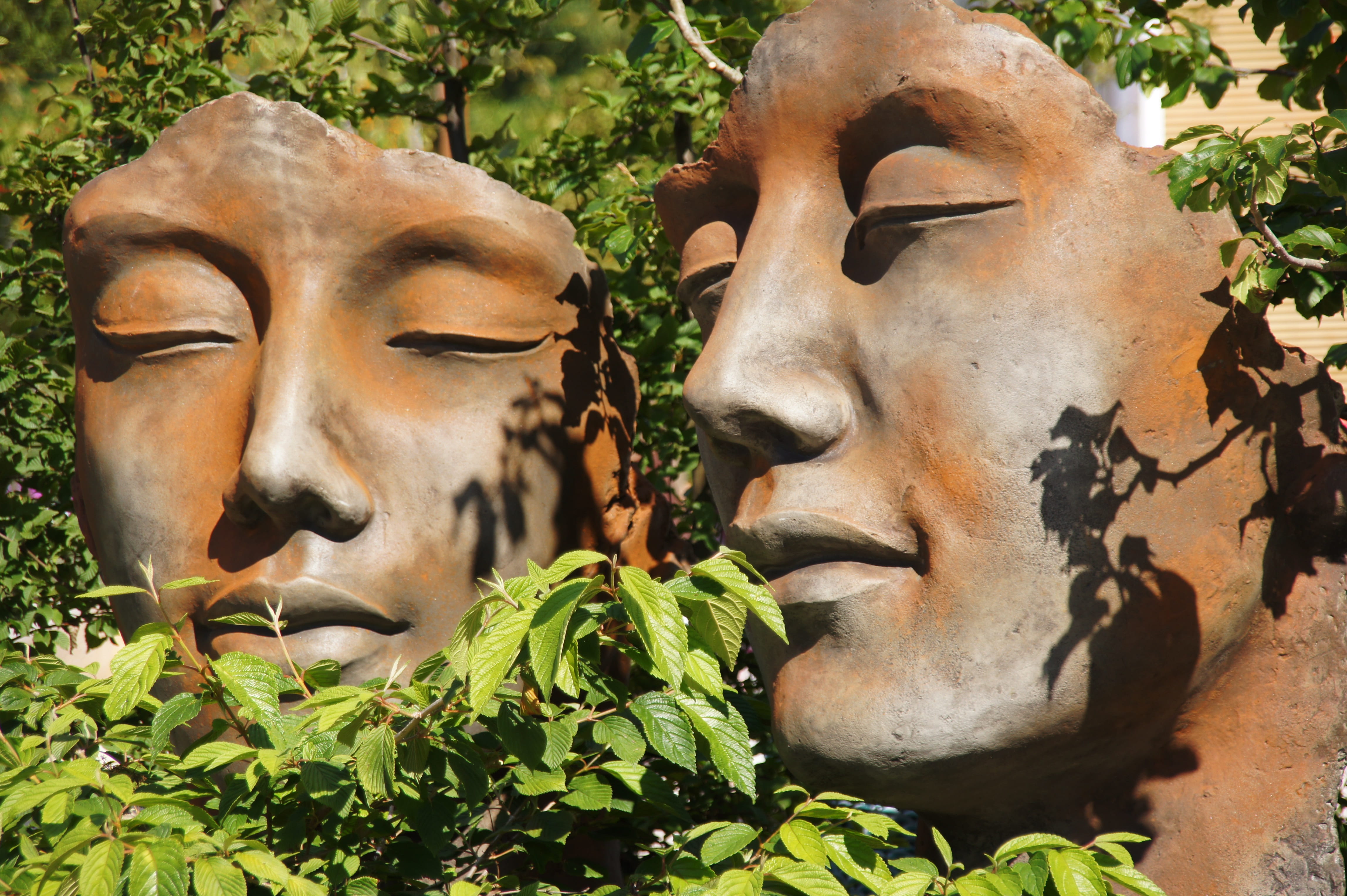 head, human representation, faces, growth, garden, plant, sculpture, craft, close-up, sunlight, art, decoration, figure, outdoors, no people, creativity, HD Wallpaper