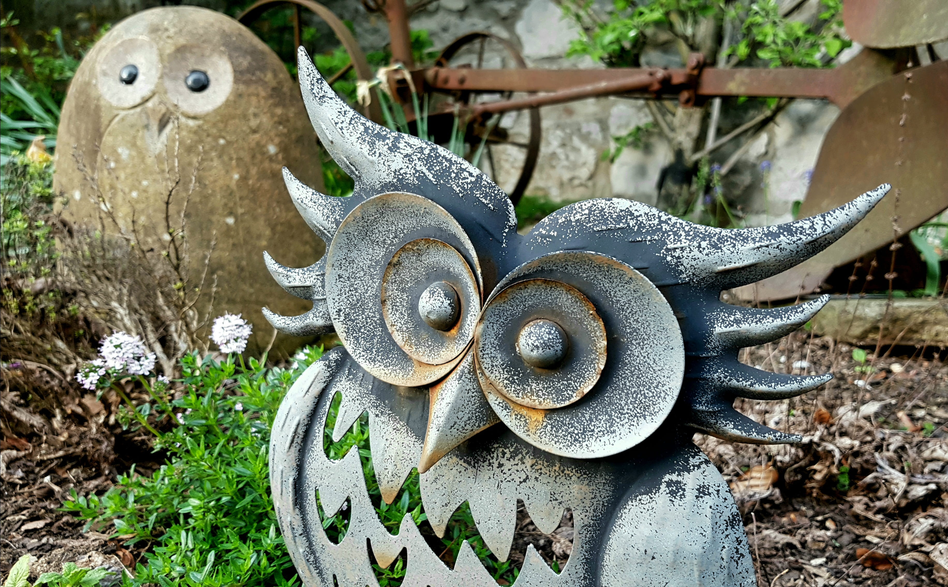 old, bird, statue, green, no people, day, stone owl, plant part, figure, eyes, leaf, abandoned, transportation, gray, metalltier, gartendeko, owl, grass, HD Wallpaper