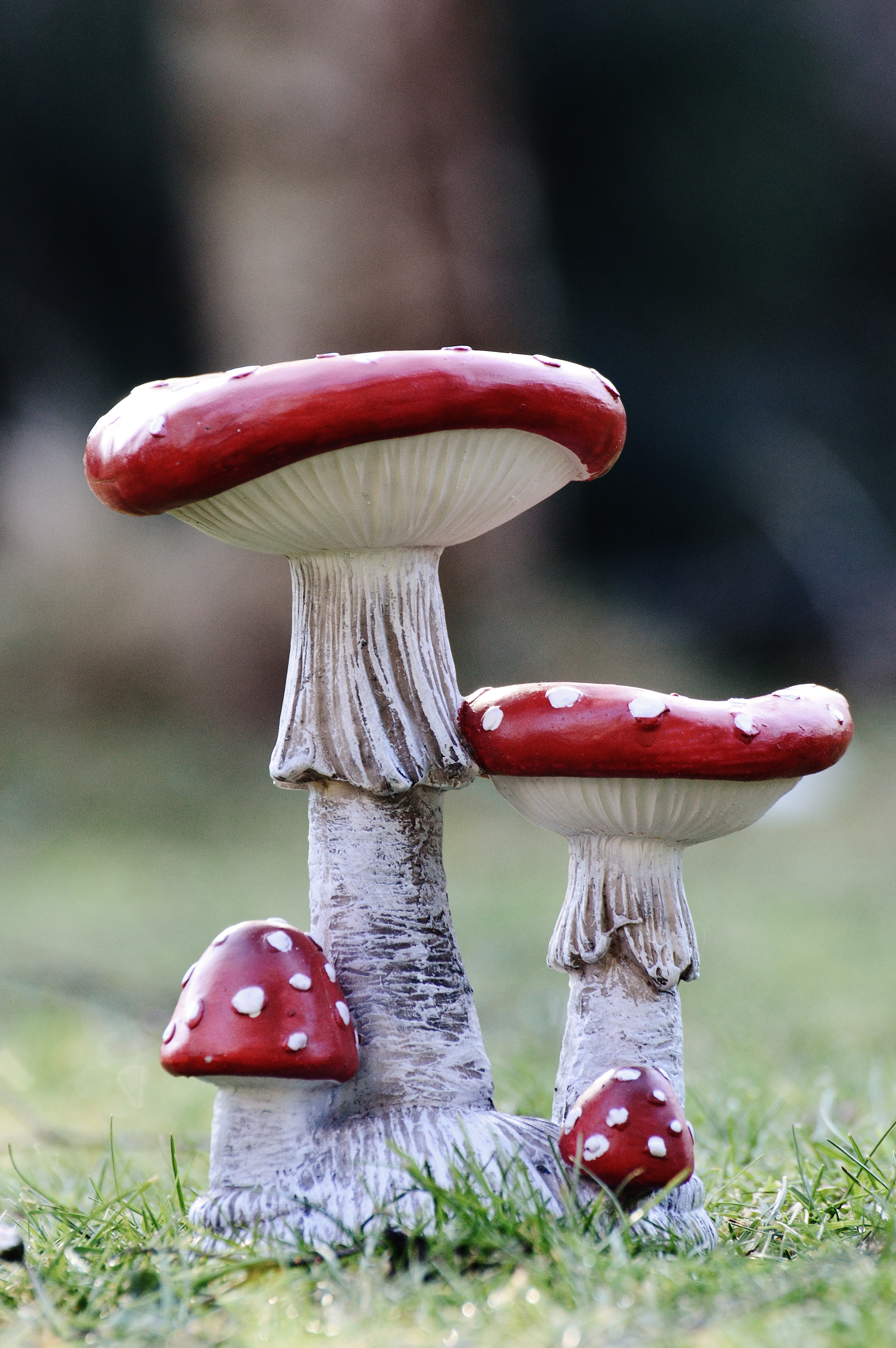 toadstool, grass, day, gartendeko, mushrooms, 5K, growth, freshness, meadow, edible mushroom, garden, fly agaric mushroom, nature, no people, food, lucky guy, Phone HD Wallpaper