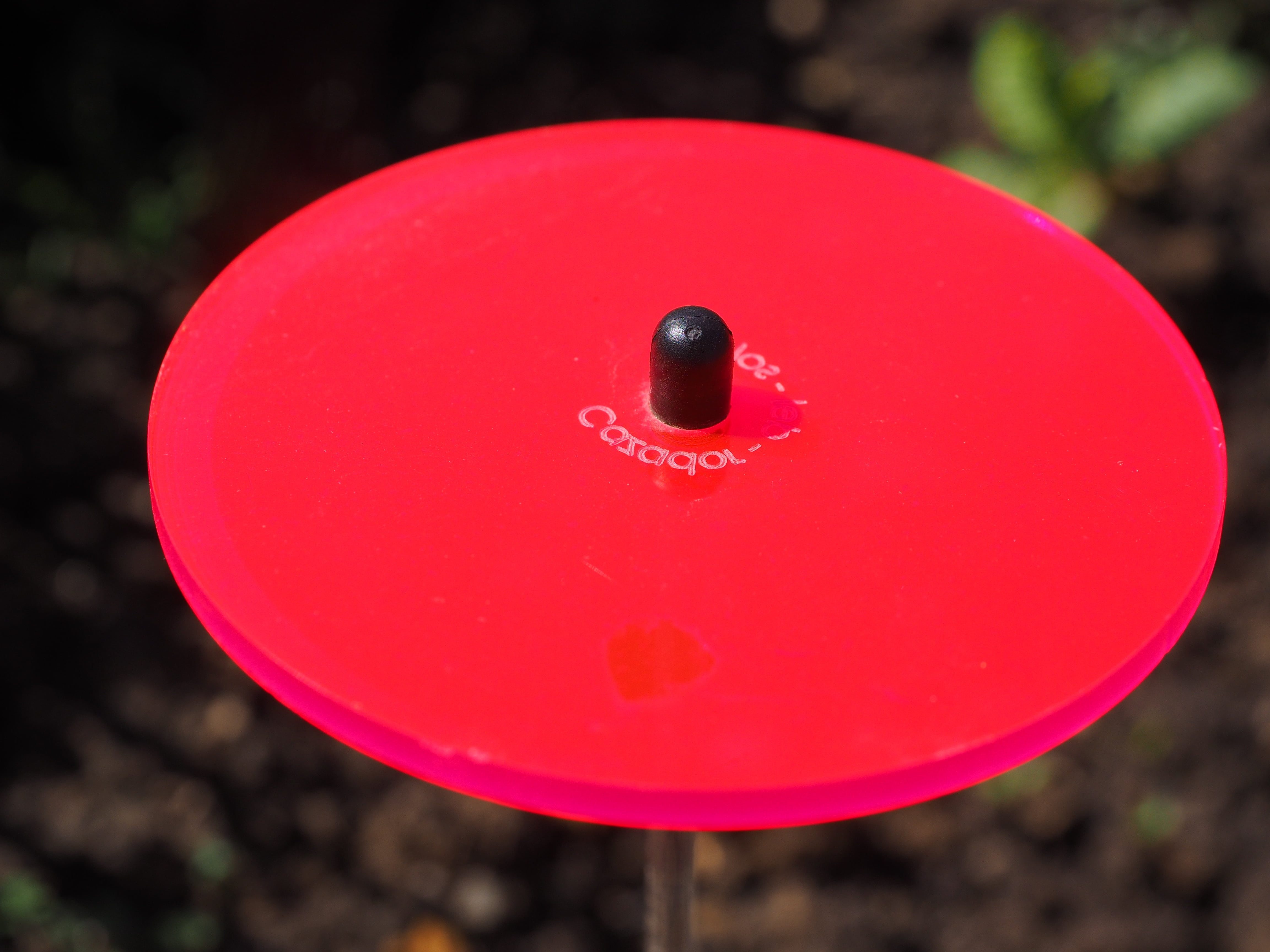 fluorescent, focus on foreground, geometric shape, light, plant, nature, shape, day, neon red, no people, light catcher, red, smiling, pink color, balloon, HD Wallpaper