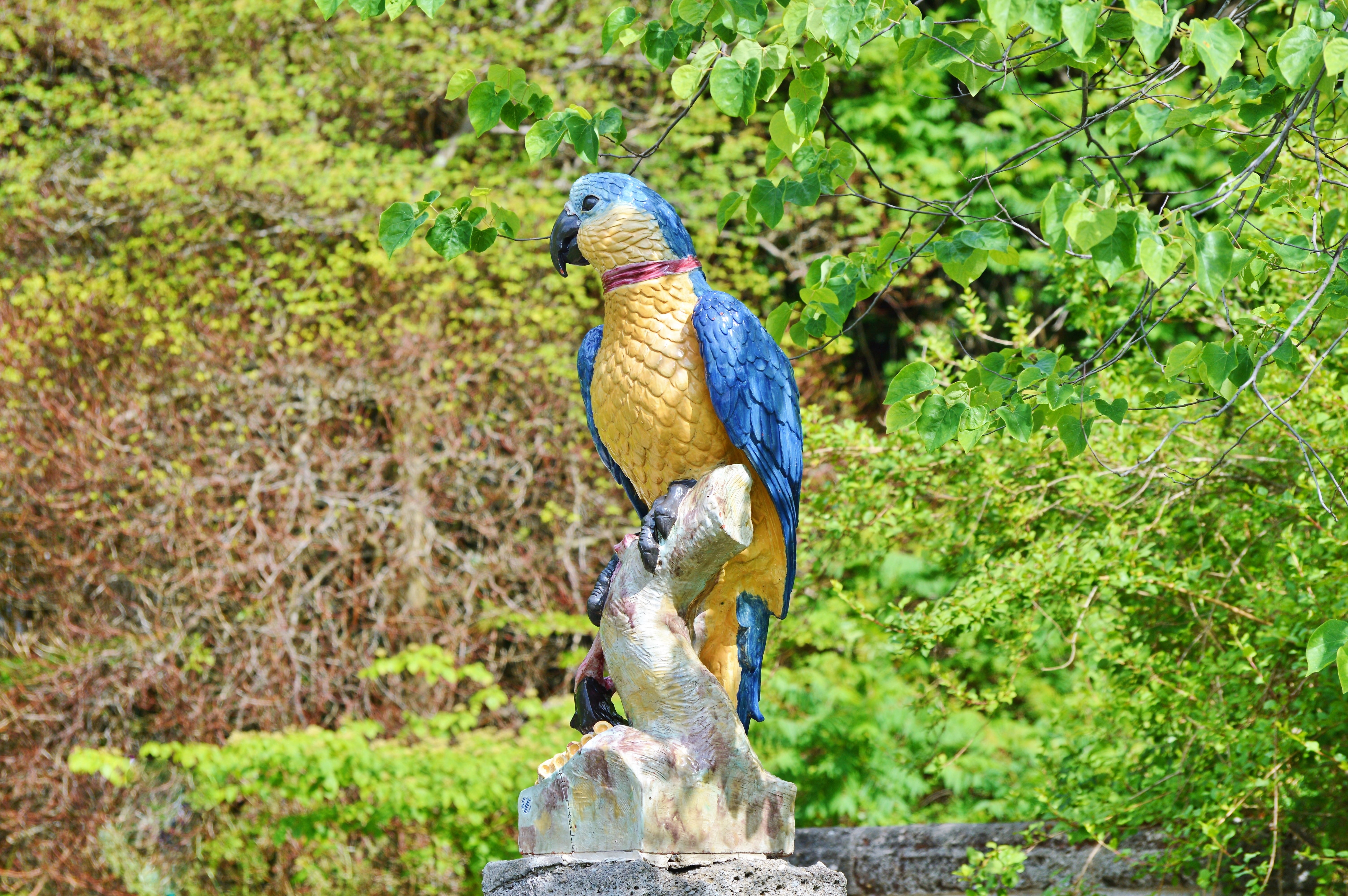 animal themes, outdoors, beak, decoration, perching, animals in the wild, ceramic, animal wildlife, no people, vertebrate, garden, parrot, garden figurines, HD Wallpaper