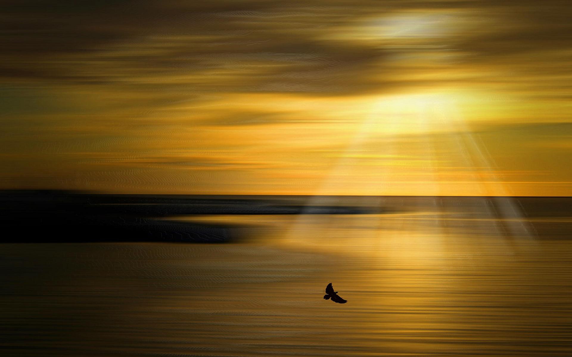 heavenly, dom, rays, flight, serene, 1080P, sunbeams, motion, bird, glitters, beauty, 3d and abstract, HD Wallpaper