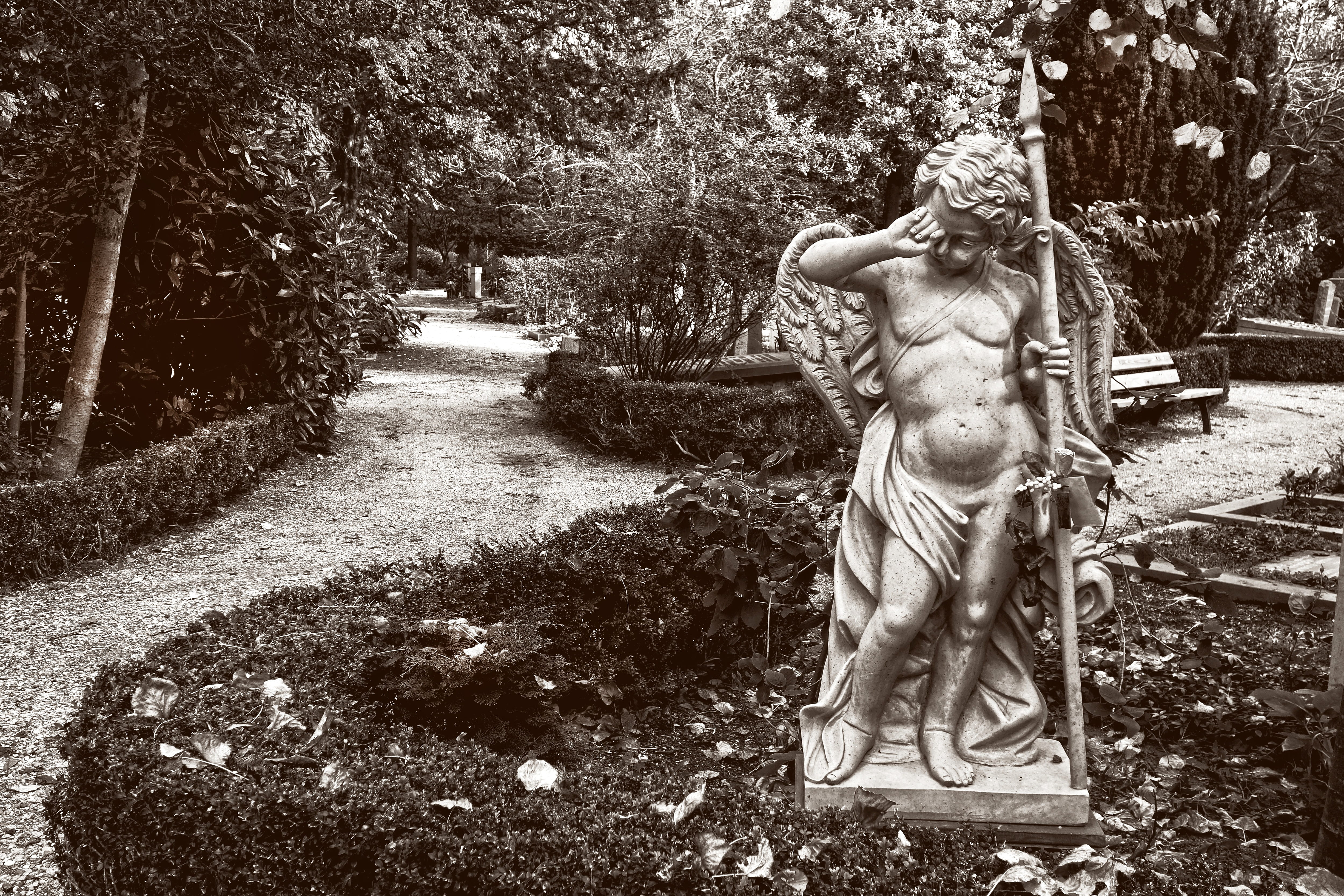 cemetery, craft, angel, female likeness, 4K, human representation, religion, representation, heavenly, statue, growth, day, art and craft, creativity, HD Wallpaper
