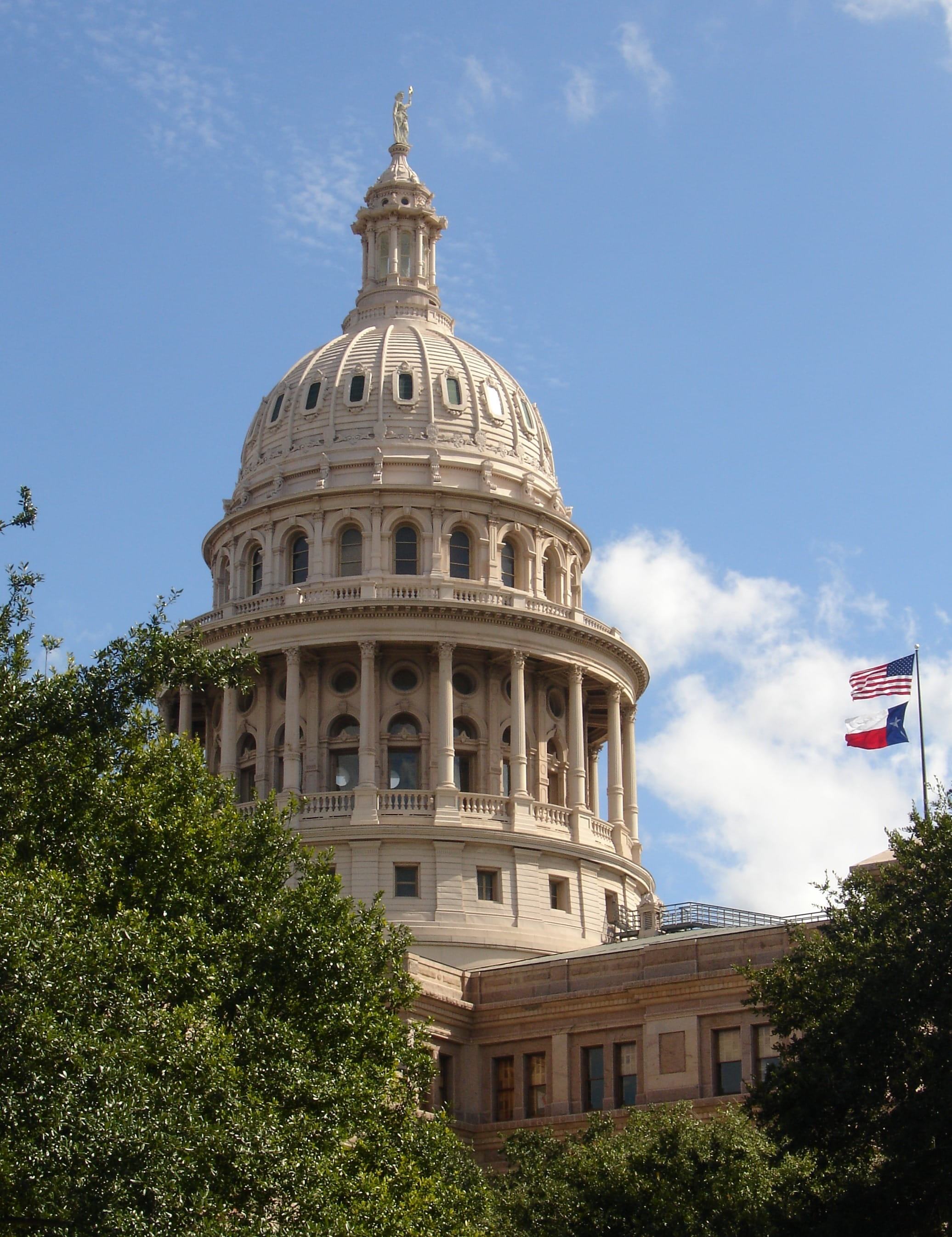 daytime, sky, Texas, america, architecture, Government, embassy, building exterior, usa, travel, flag, tree, nature, no people, texas, cloud - sky, plant, Phone HD Wallpaper