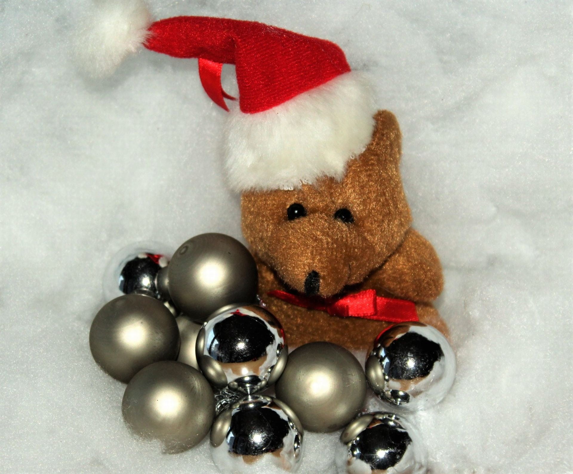 1080P, nicholas, holidays, embassy, animal representation, december, holiday, decoration, christmas, advent, christmas Ornament, no people, close-up, representation, HD Wallpaper